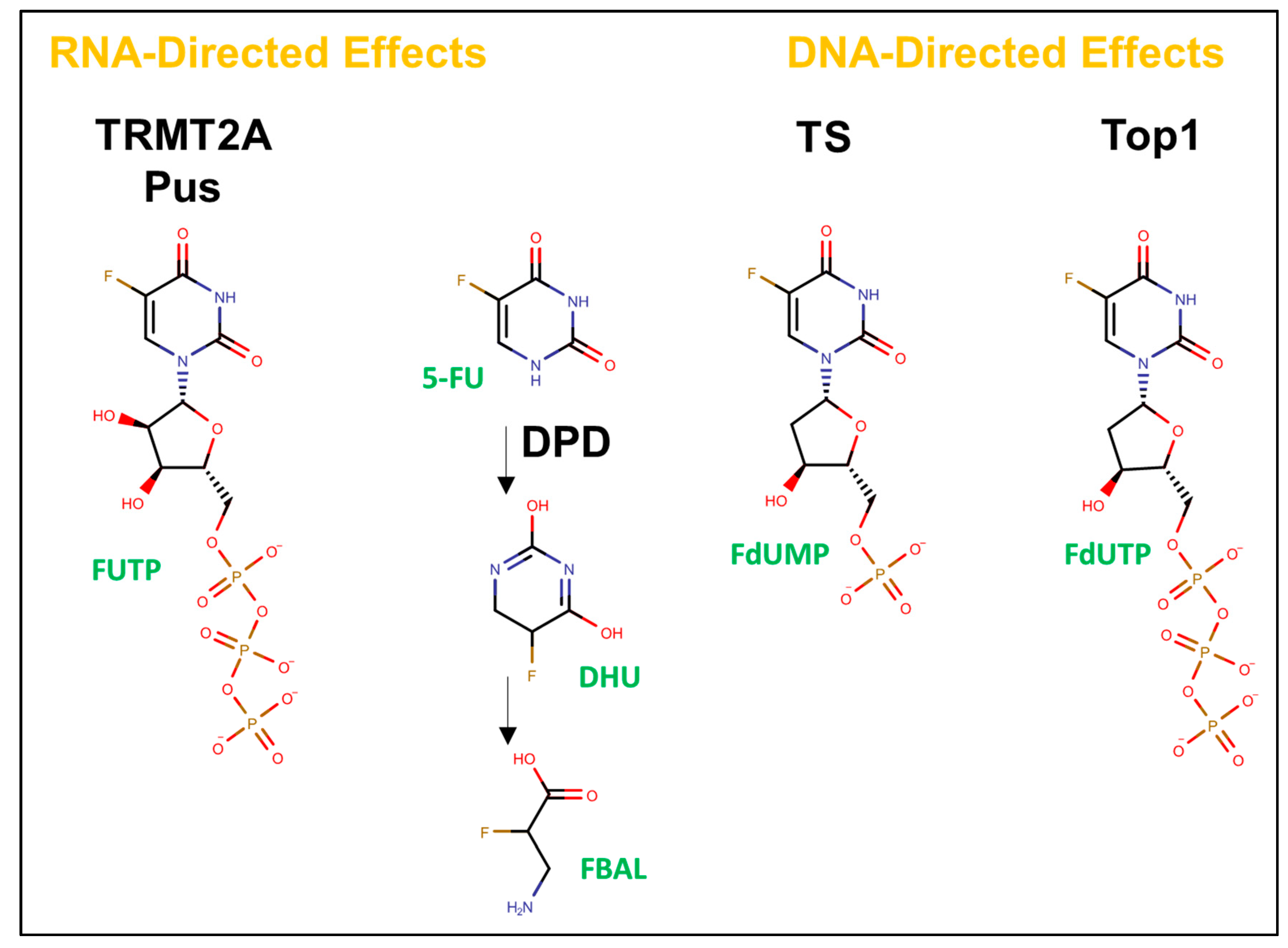 Molecules 25 03438 g001