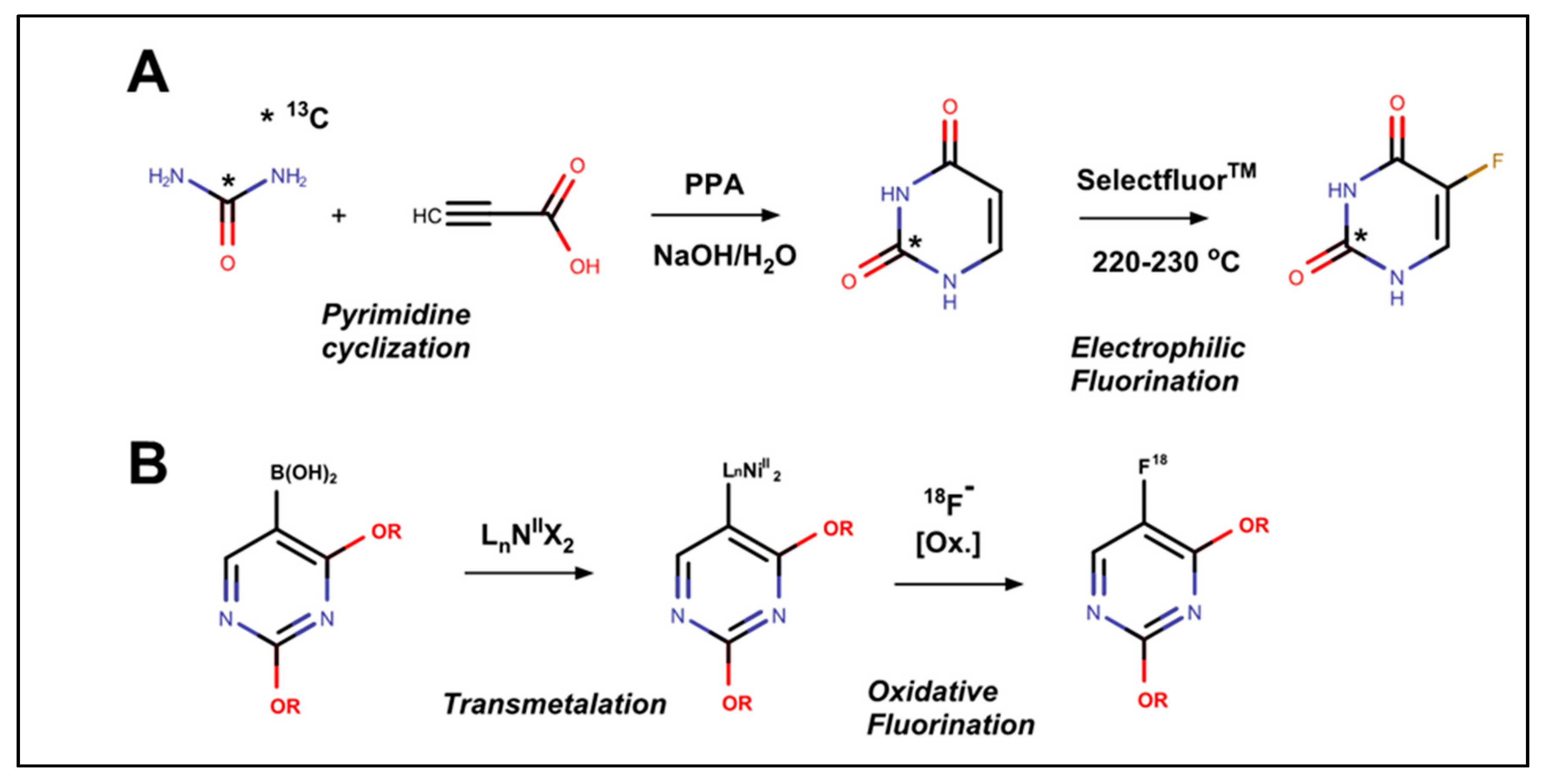 Molecules 25 03438 g002