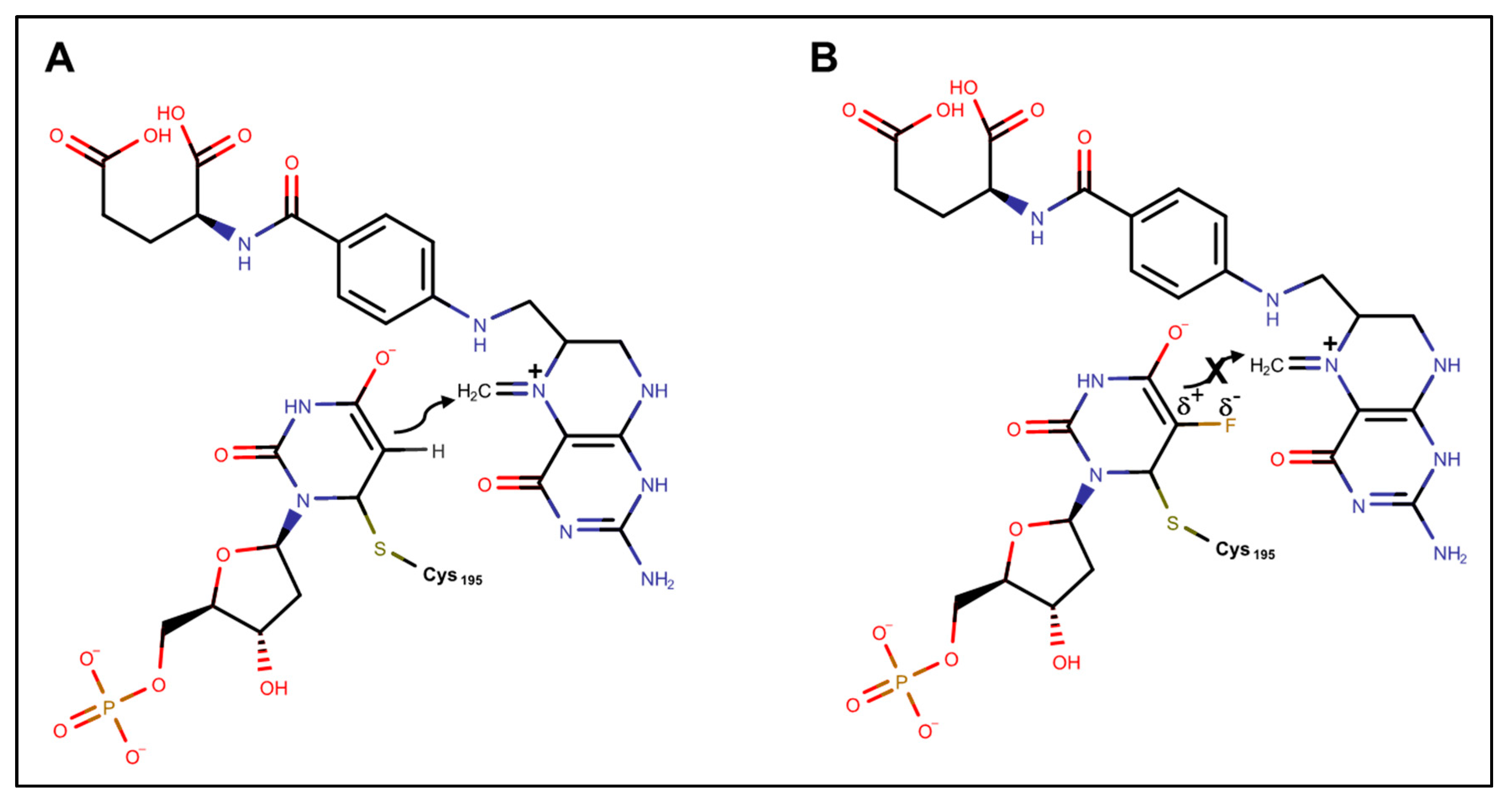 Molecules 25 03438 g003