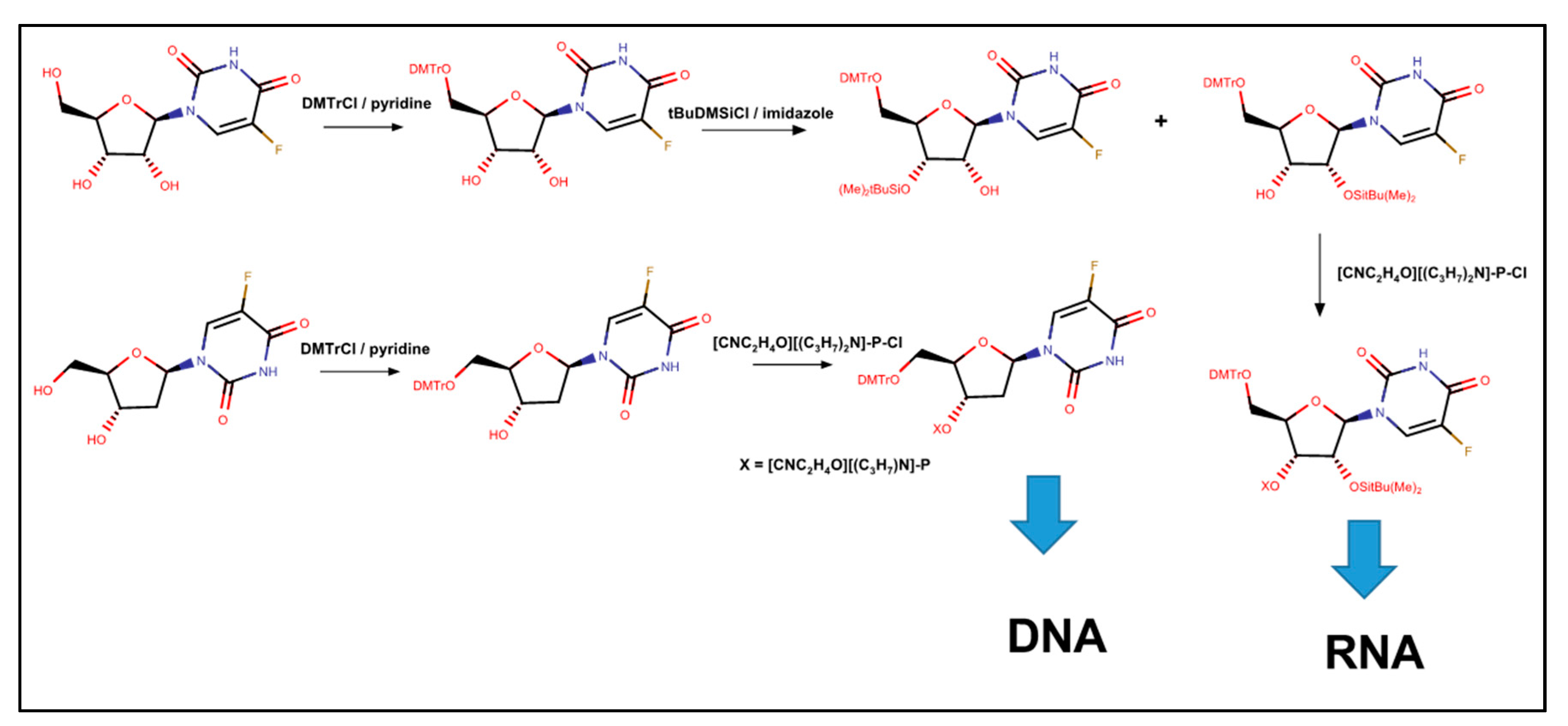 Molecules 25 03438 g004