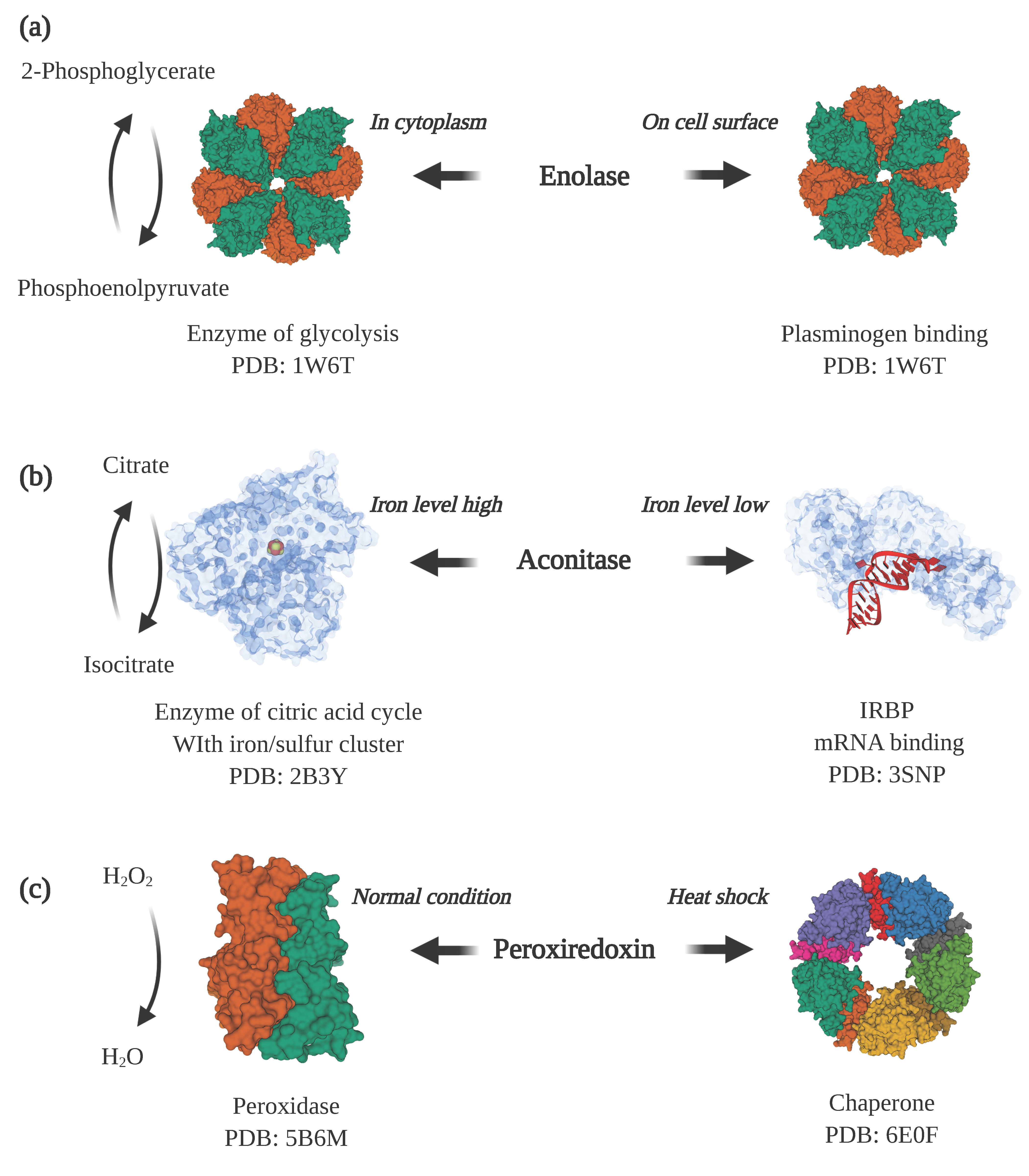 Molecules 25 03440 g002