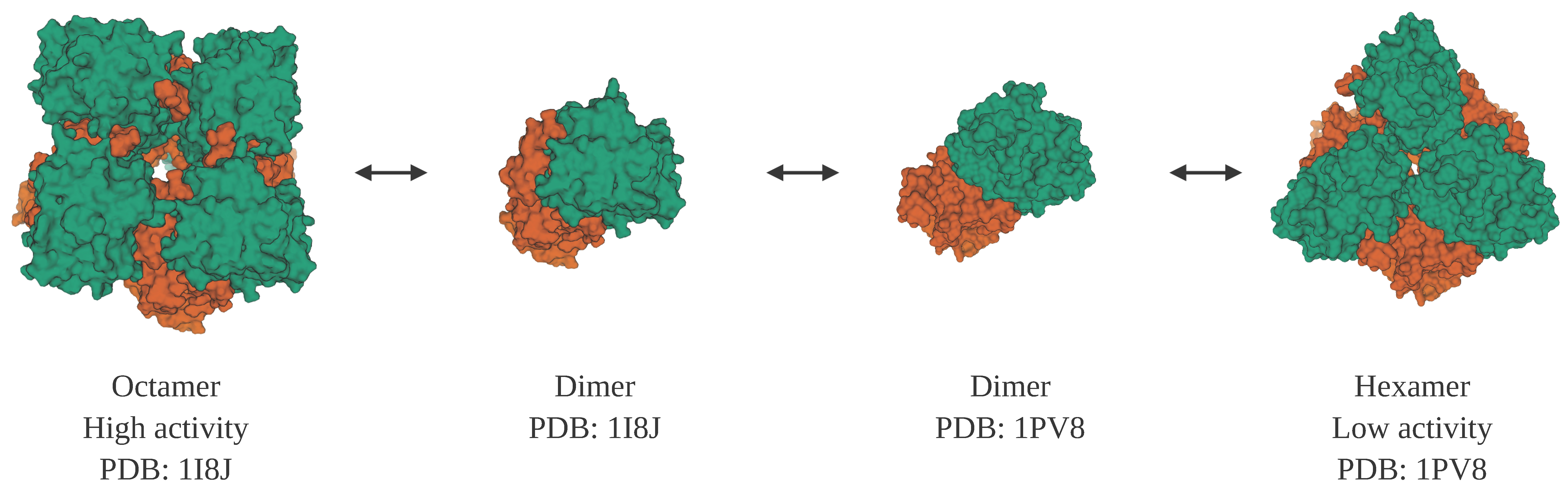 Molecules 25 03440 g004