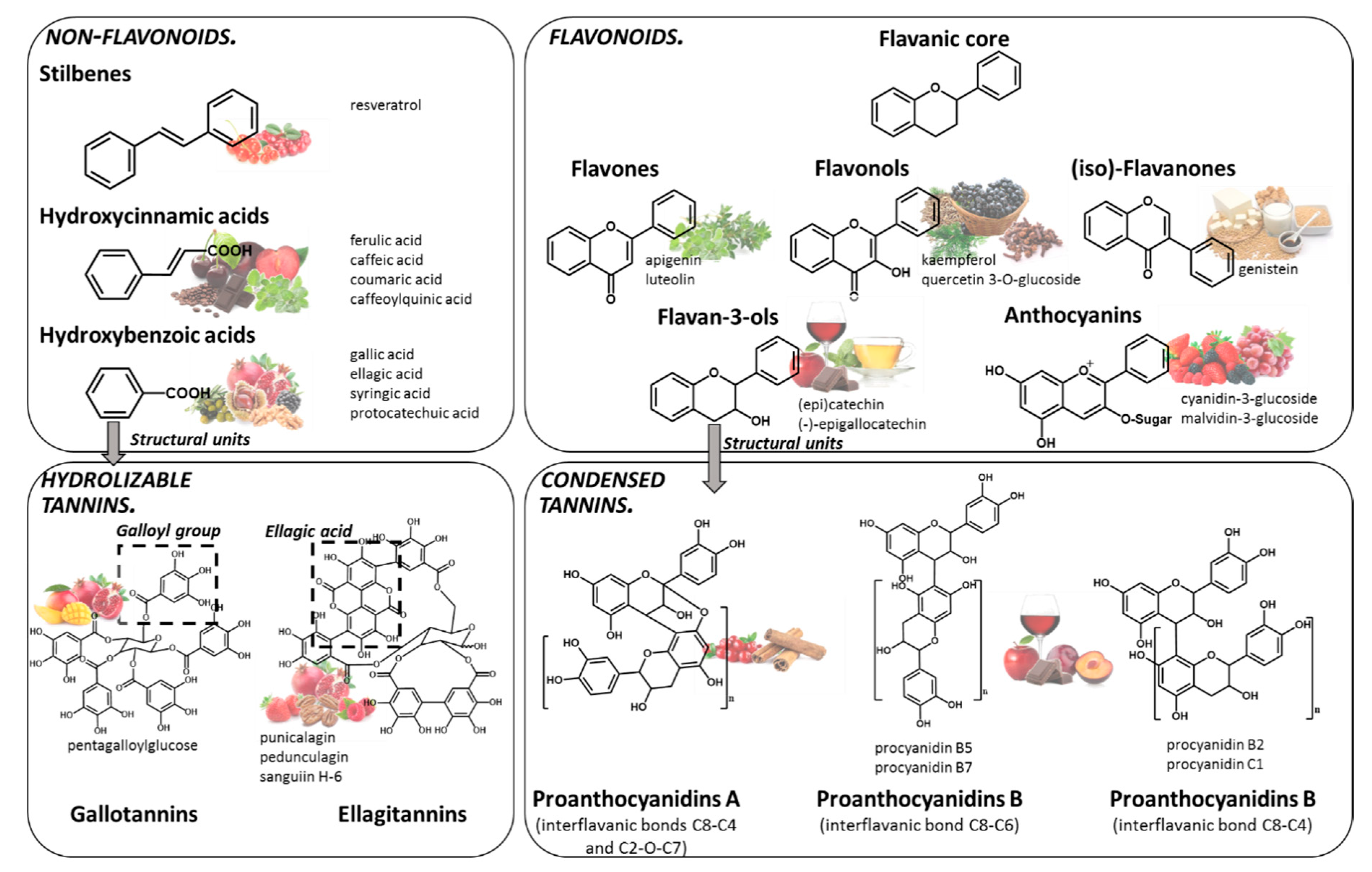 Molecules 25 03443 g001