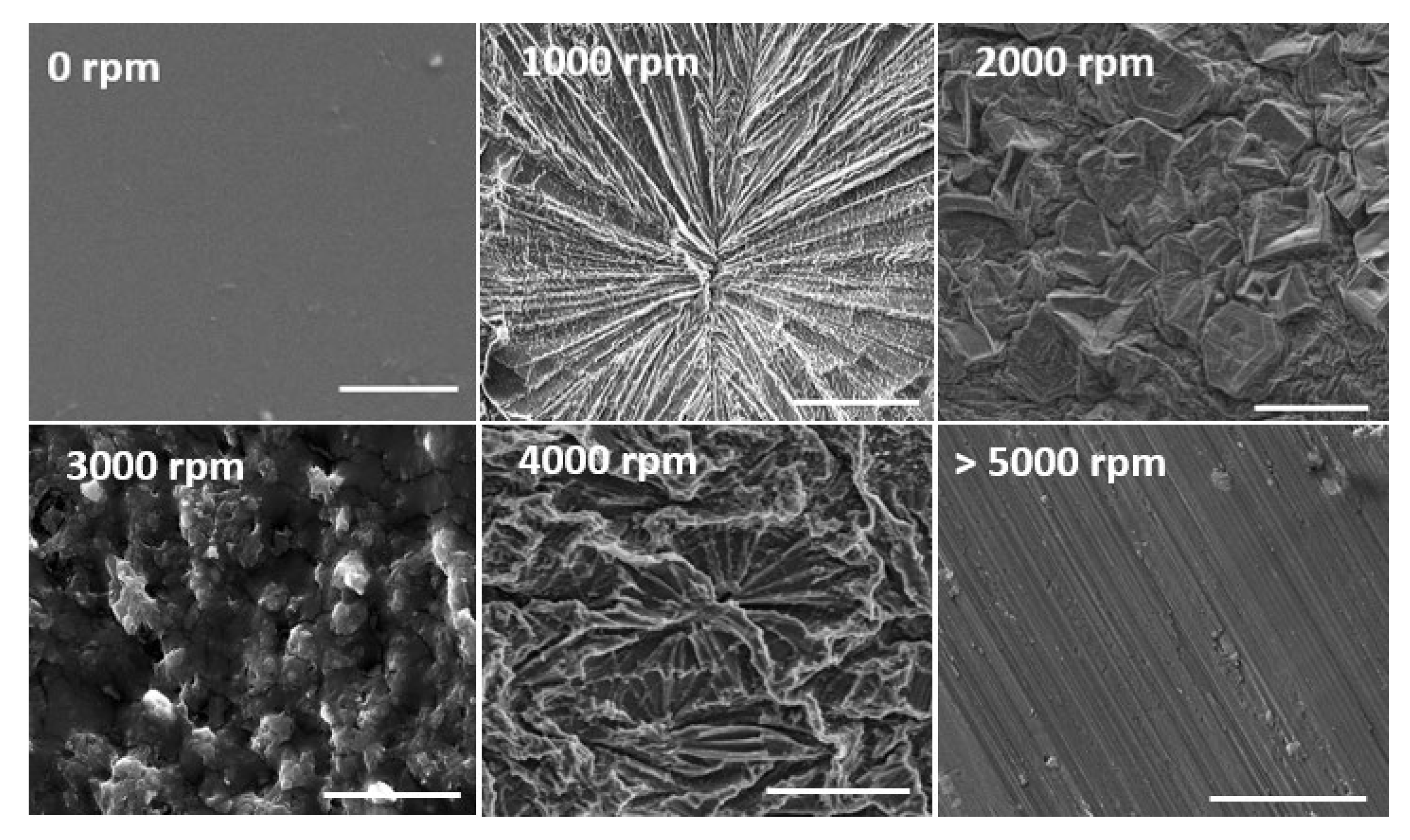 Molecules 25 03445 g002 Molecules 25 03445 g002