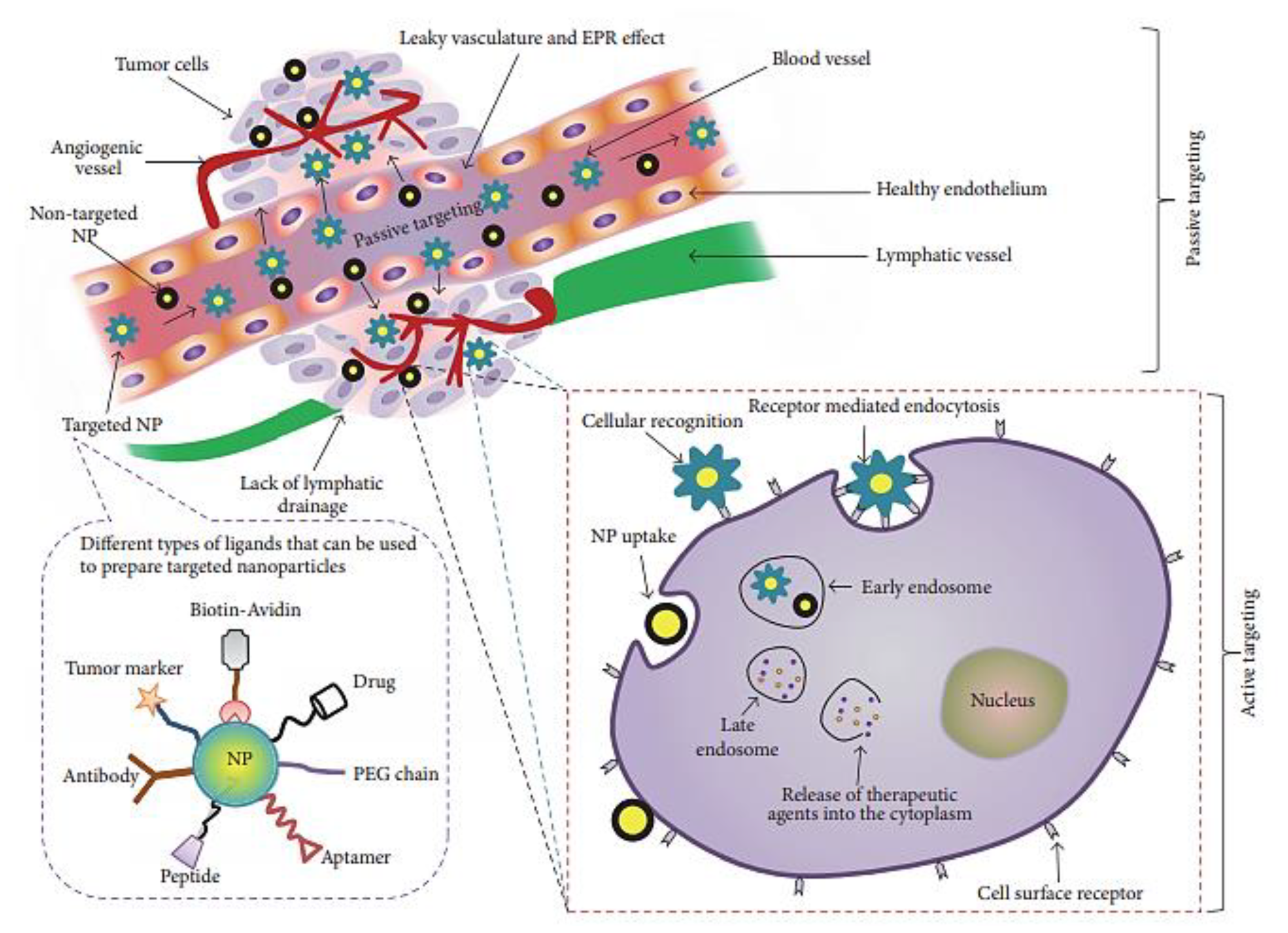 Molecules 25 03449 g001 Molecules 25 03449 g001
