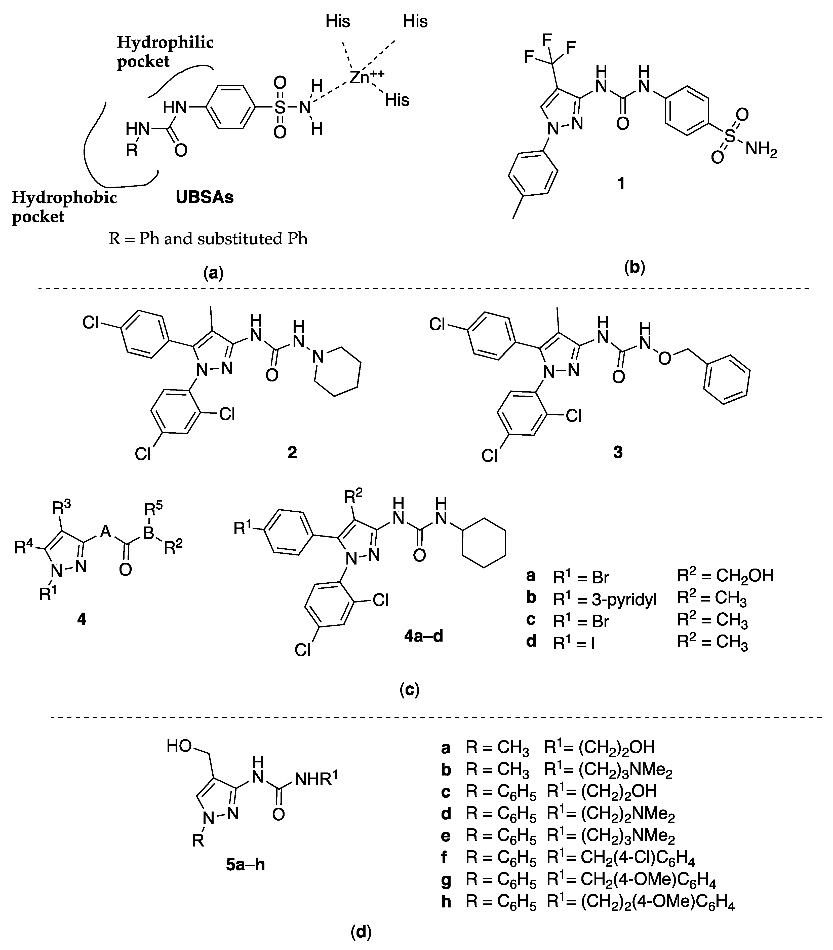Molecules 25 03457 g001