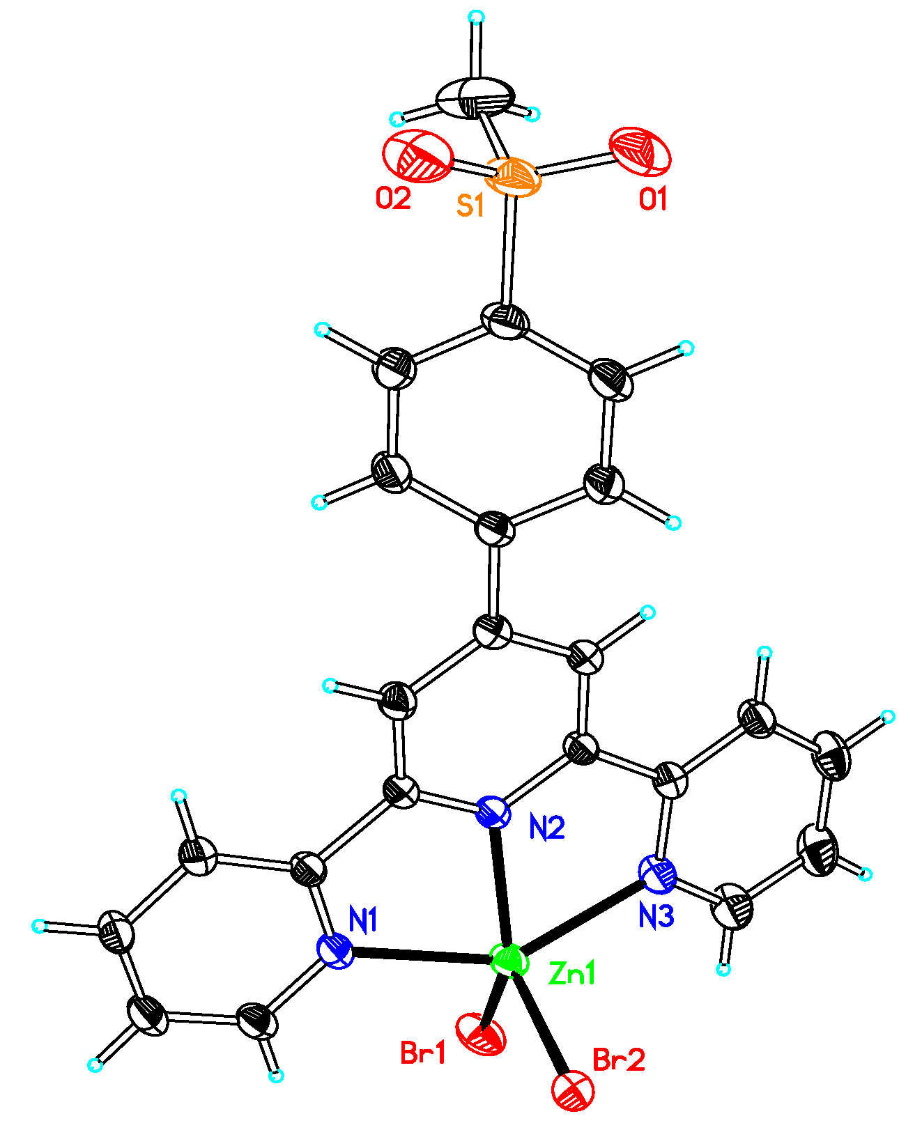 Molecules 25 03459 g001
