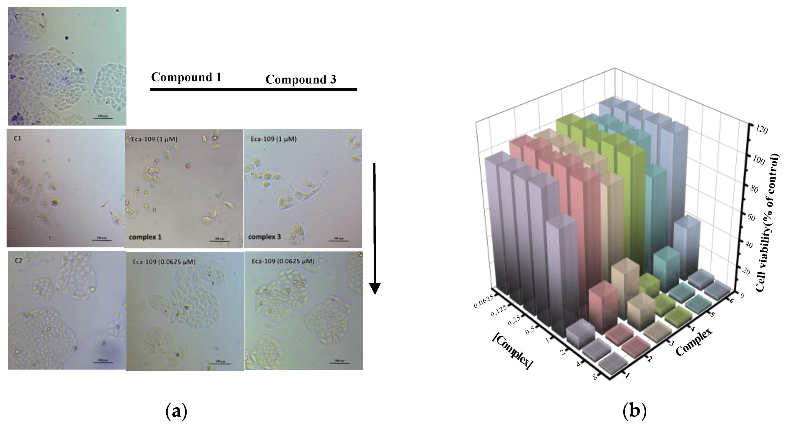 Molecules 25 03459 g005