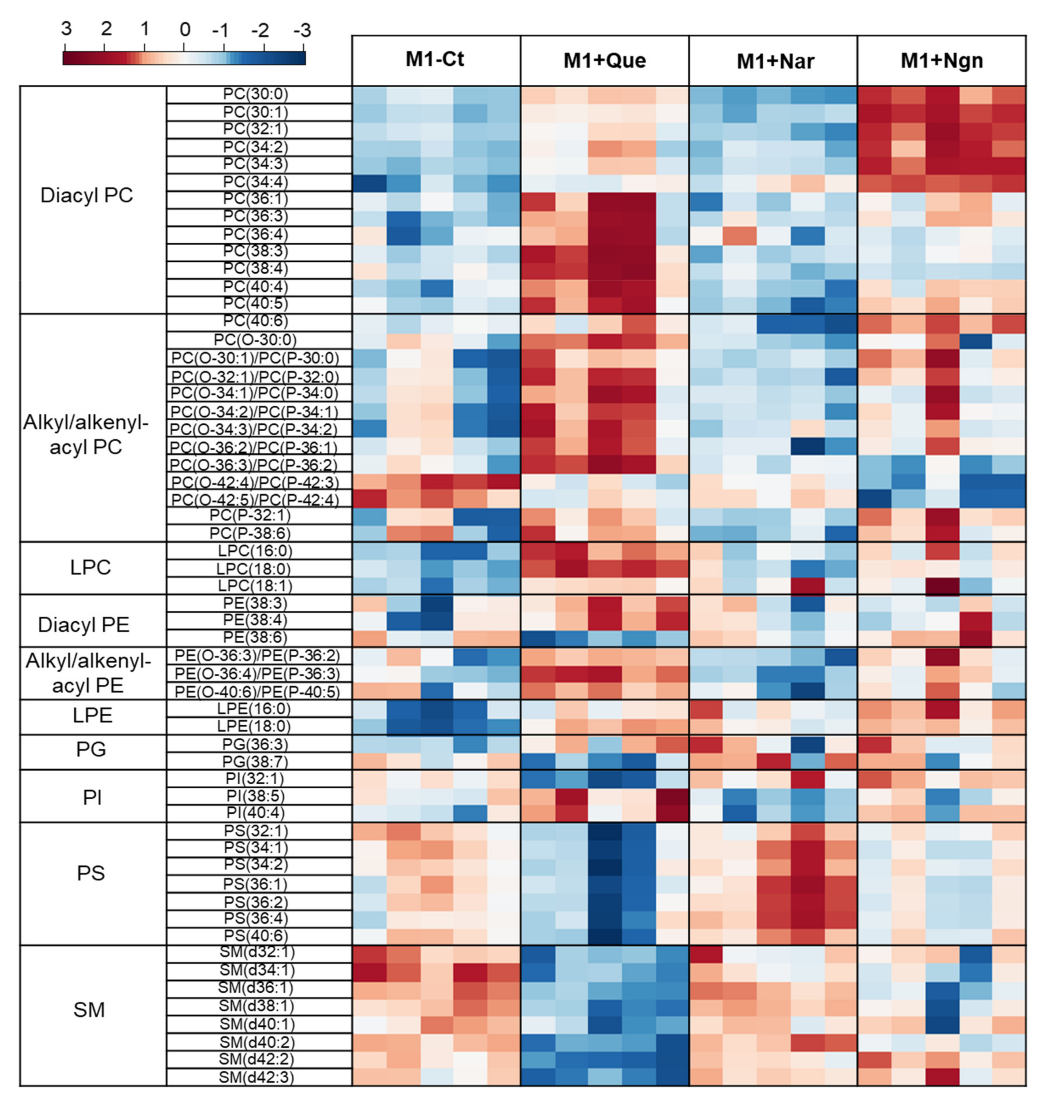 Molecules 25 03460 g005
