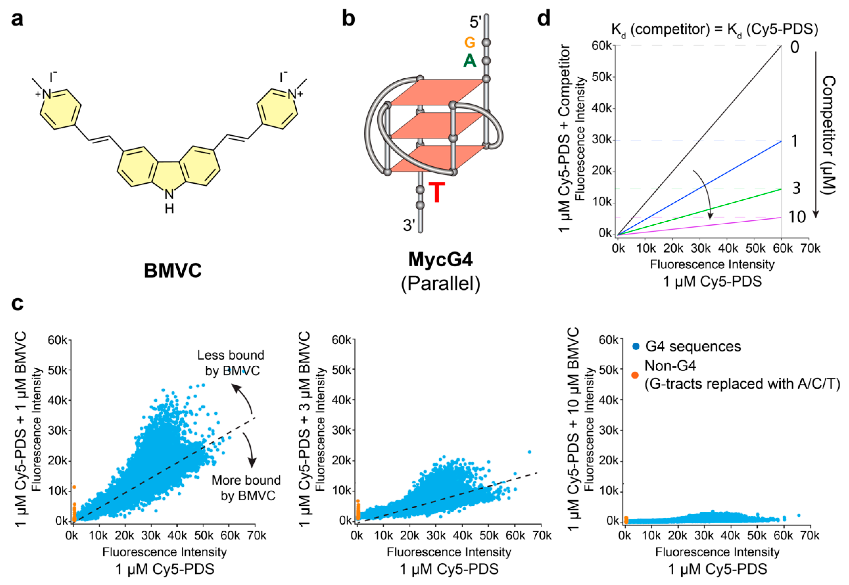 Molecules 25 03465 g001