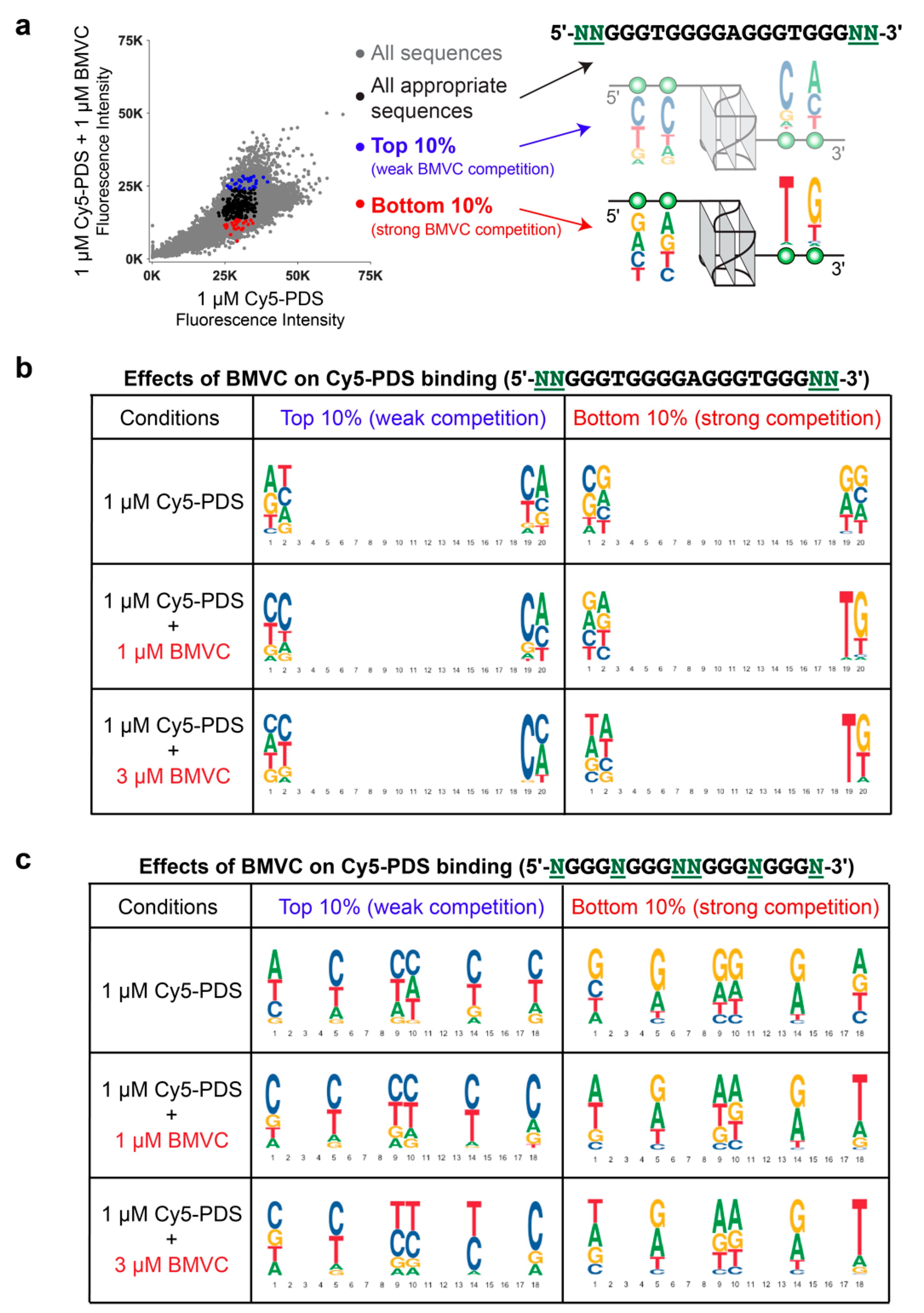Molecules 25 03465 g003