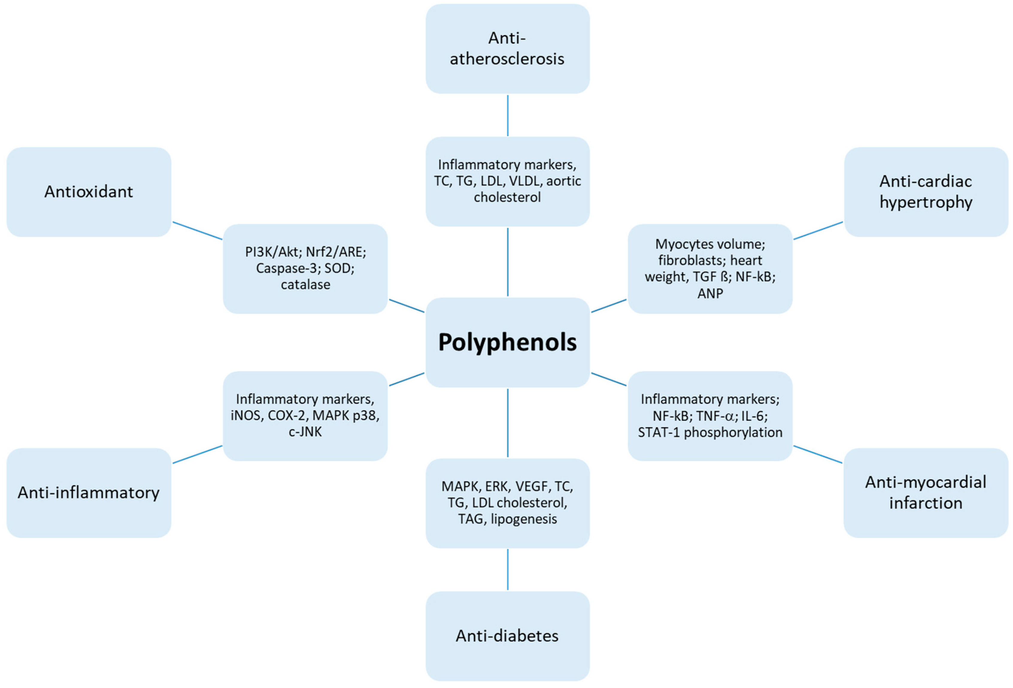 Molecules 25 03469 g002
