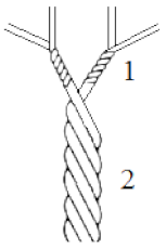 Molecules 25 03476 i001