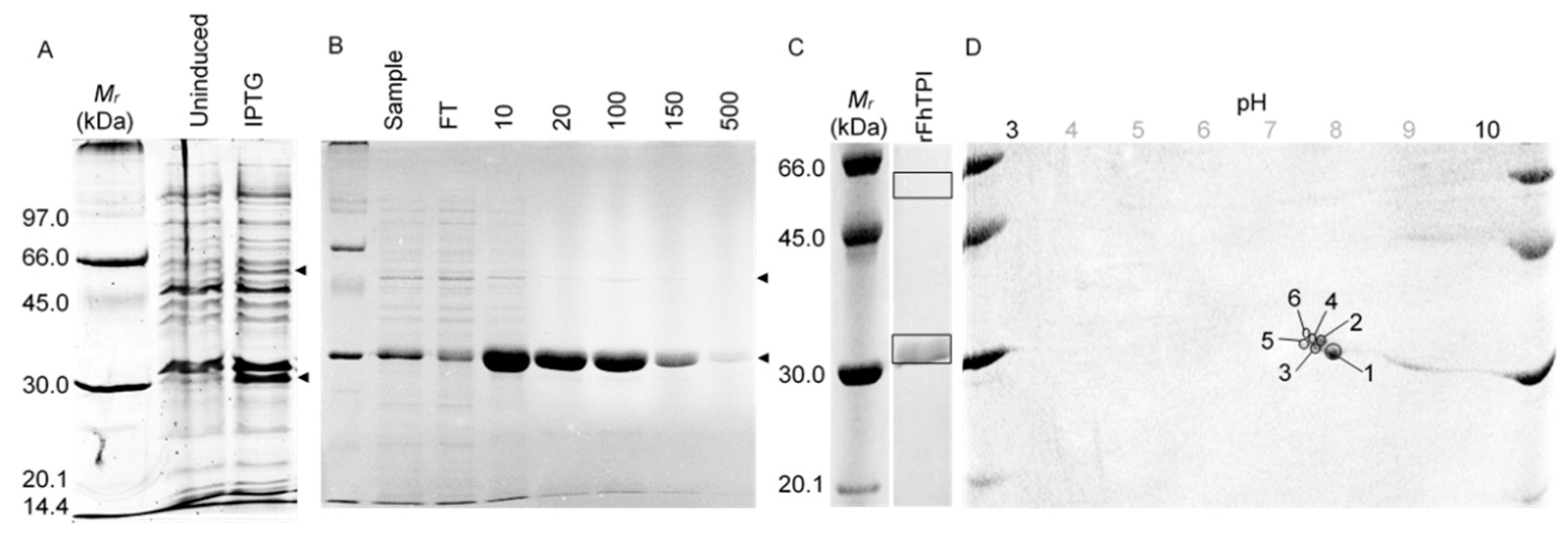 Molecules 25 03477 g002