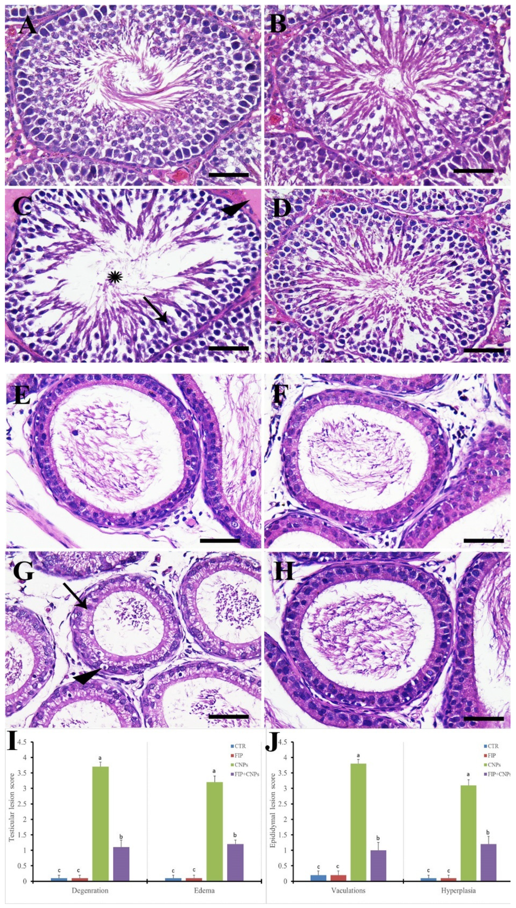 Molecules 25 03479 g001
