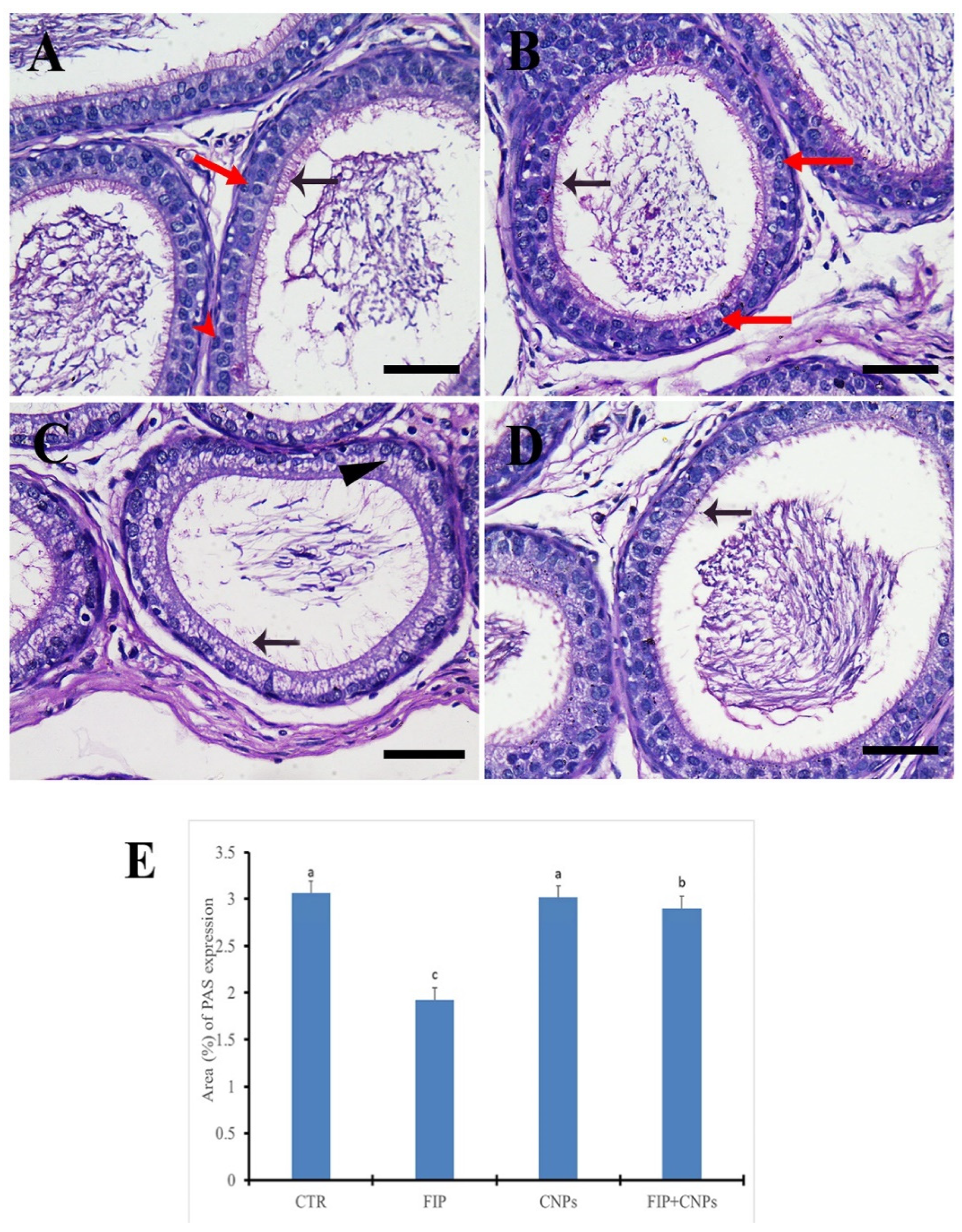 Molecules 25 03479 g002