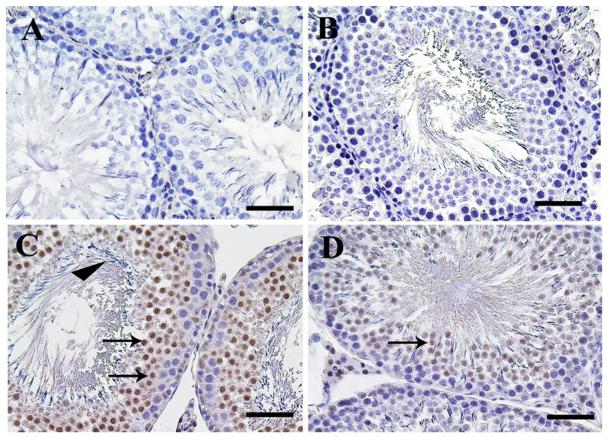 Molecules 25 03479 g003a