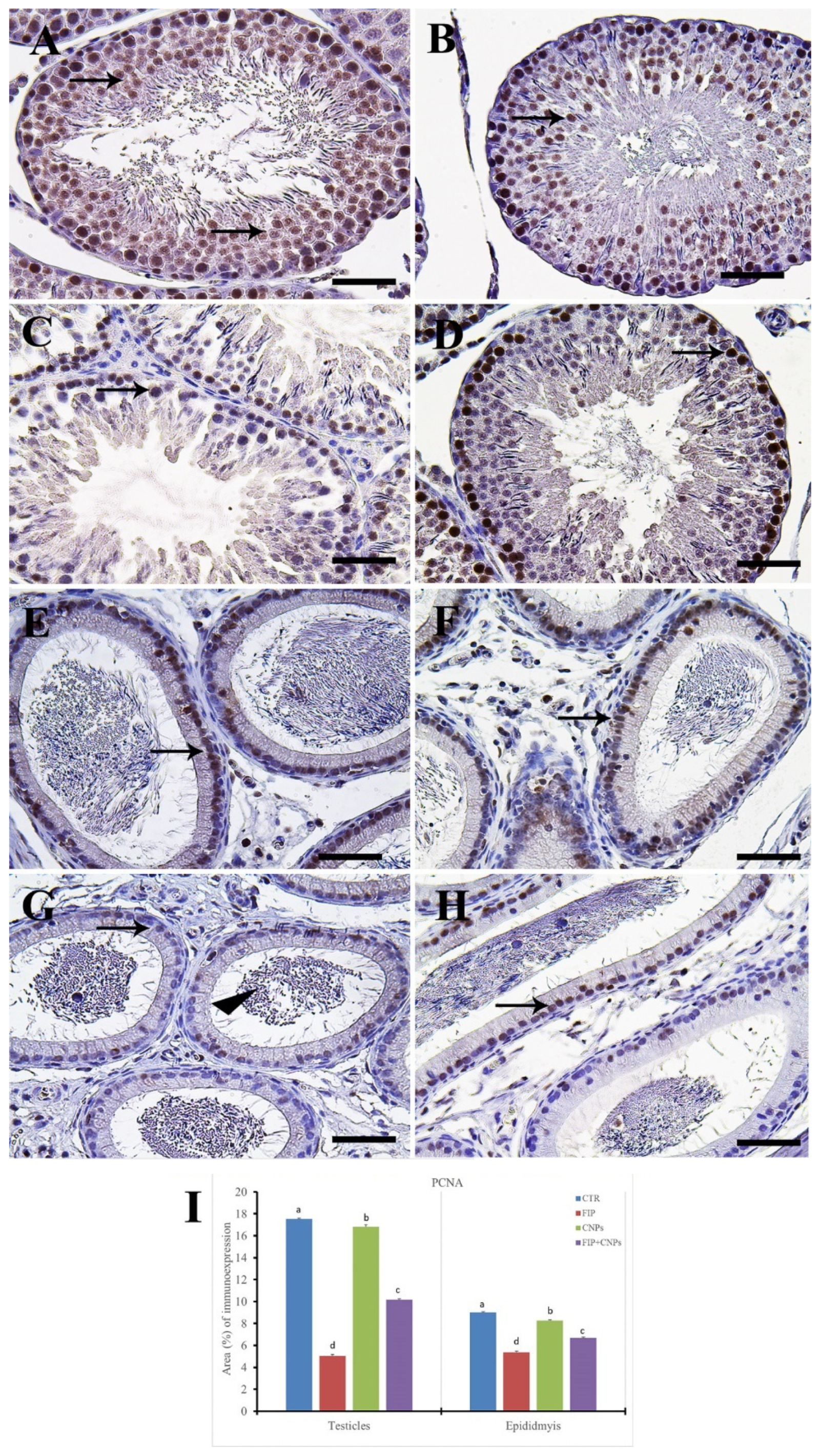 Molecules 25 03479 g004