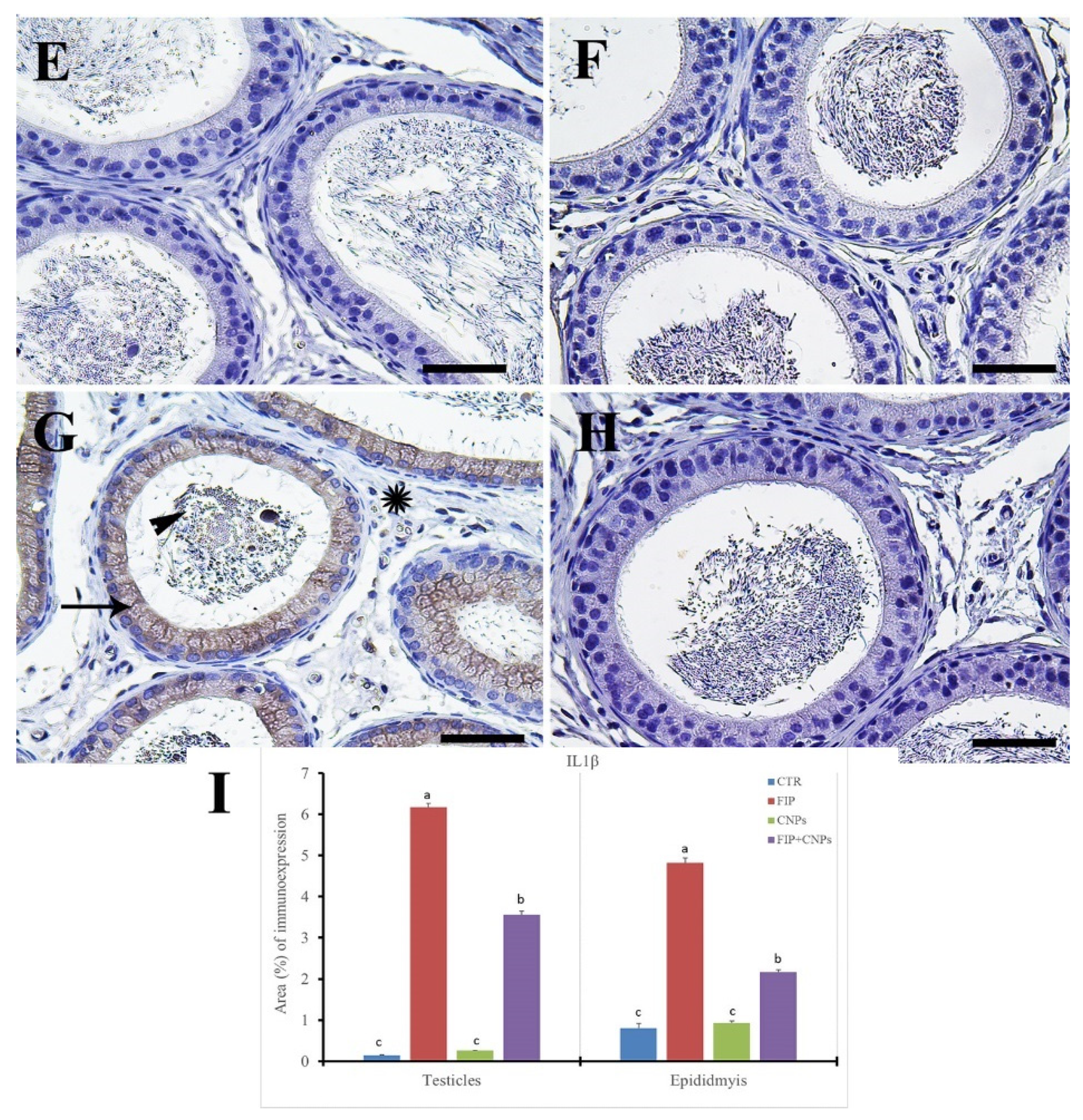 Molecules 25 03479 g005b