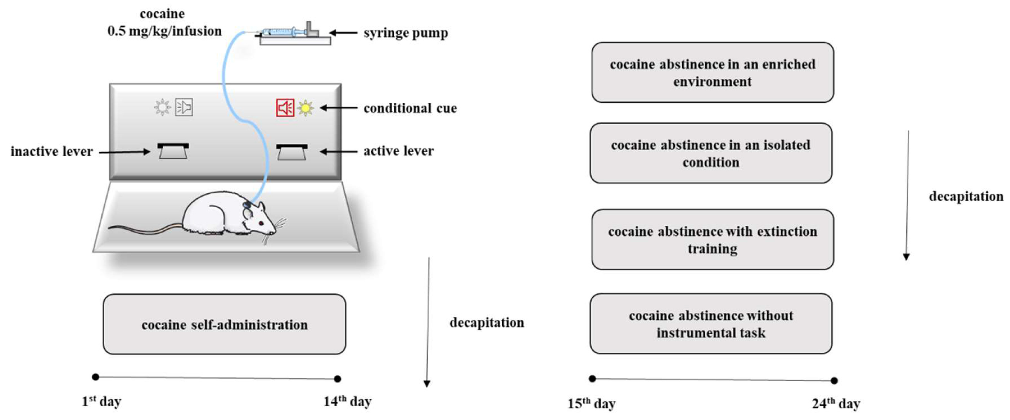 Molecules 25 03480 g001