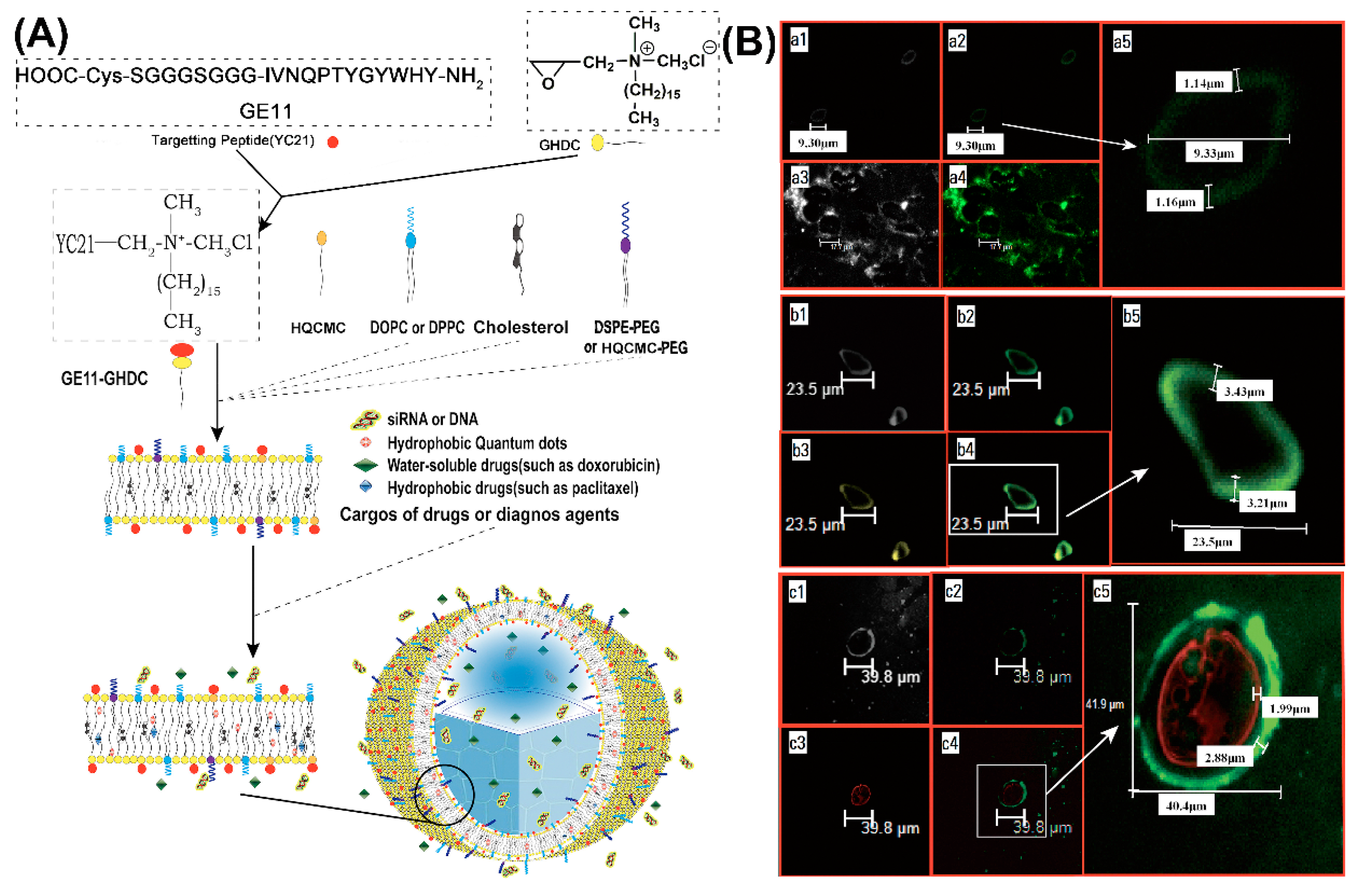 Molecules 25 03482 g004