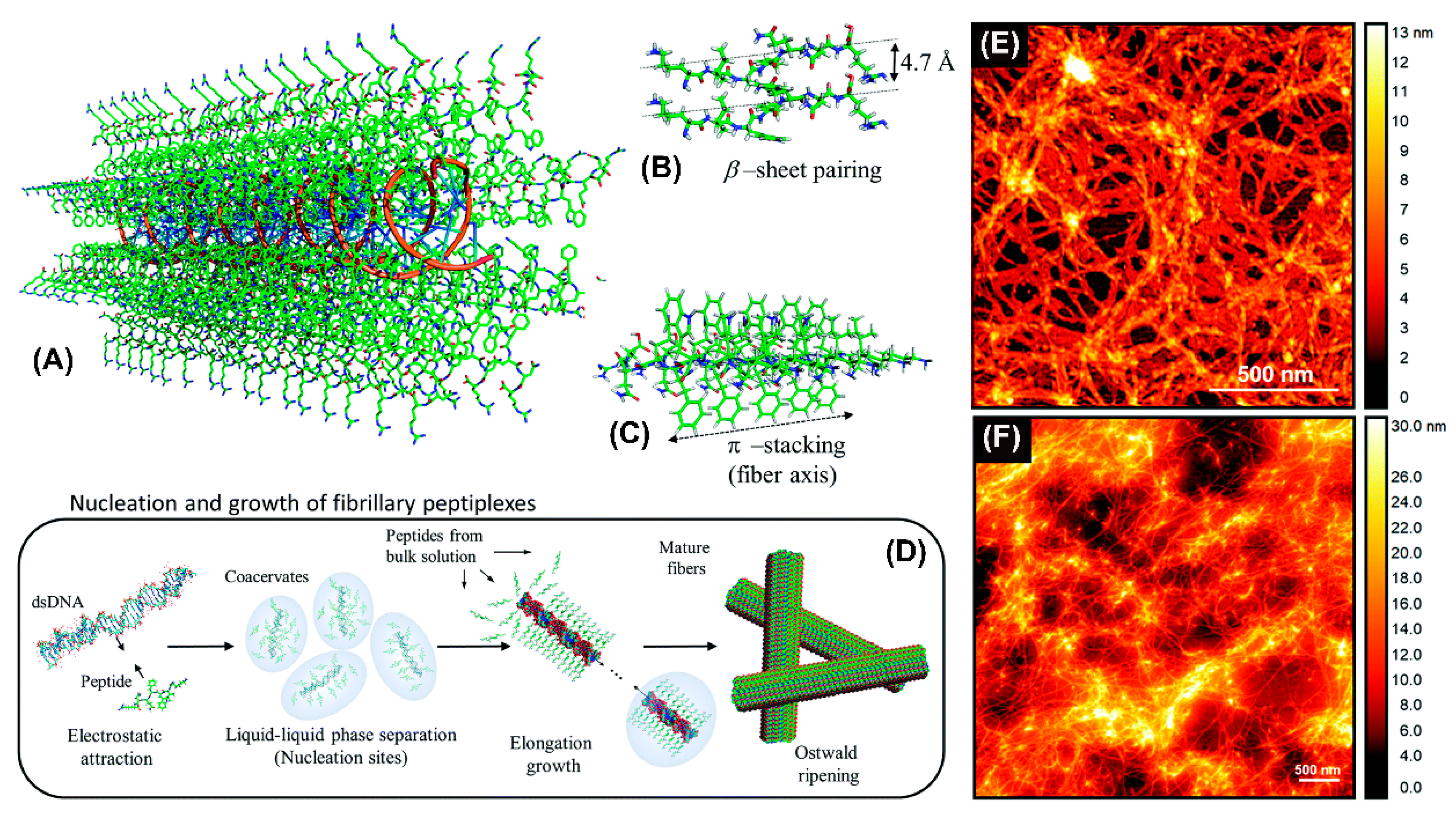 Molecules 25 03482 g005