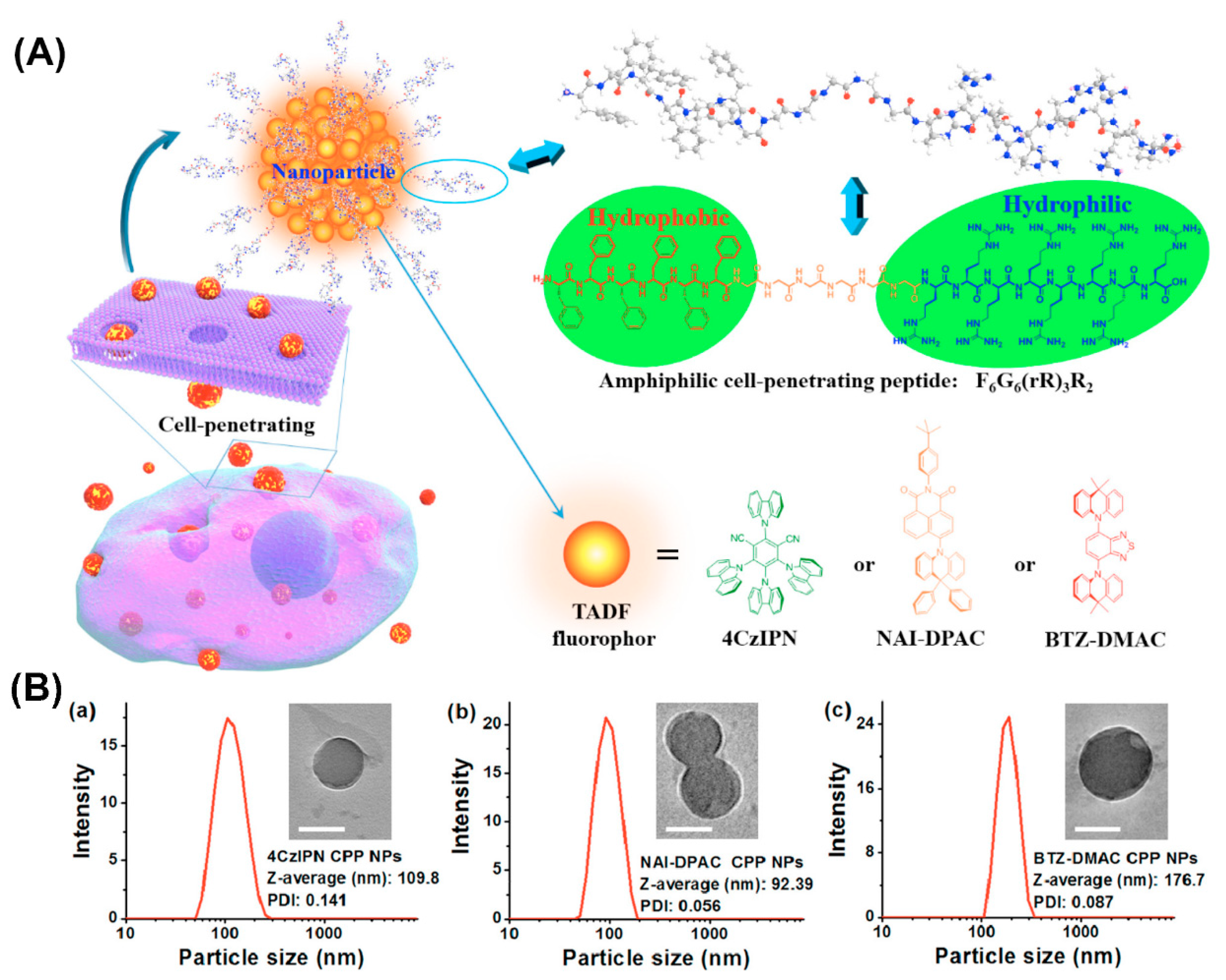 Molecules 25 03482 g008