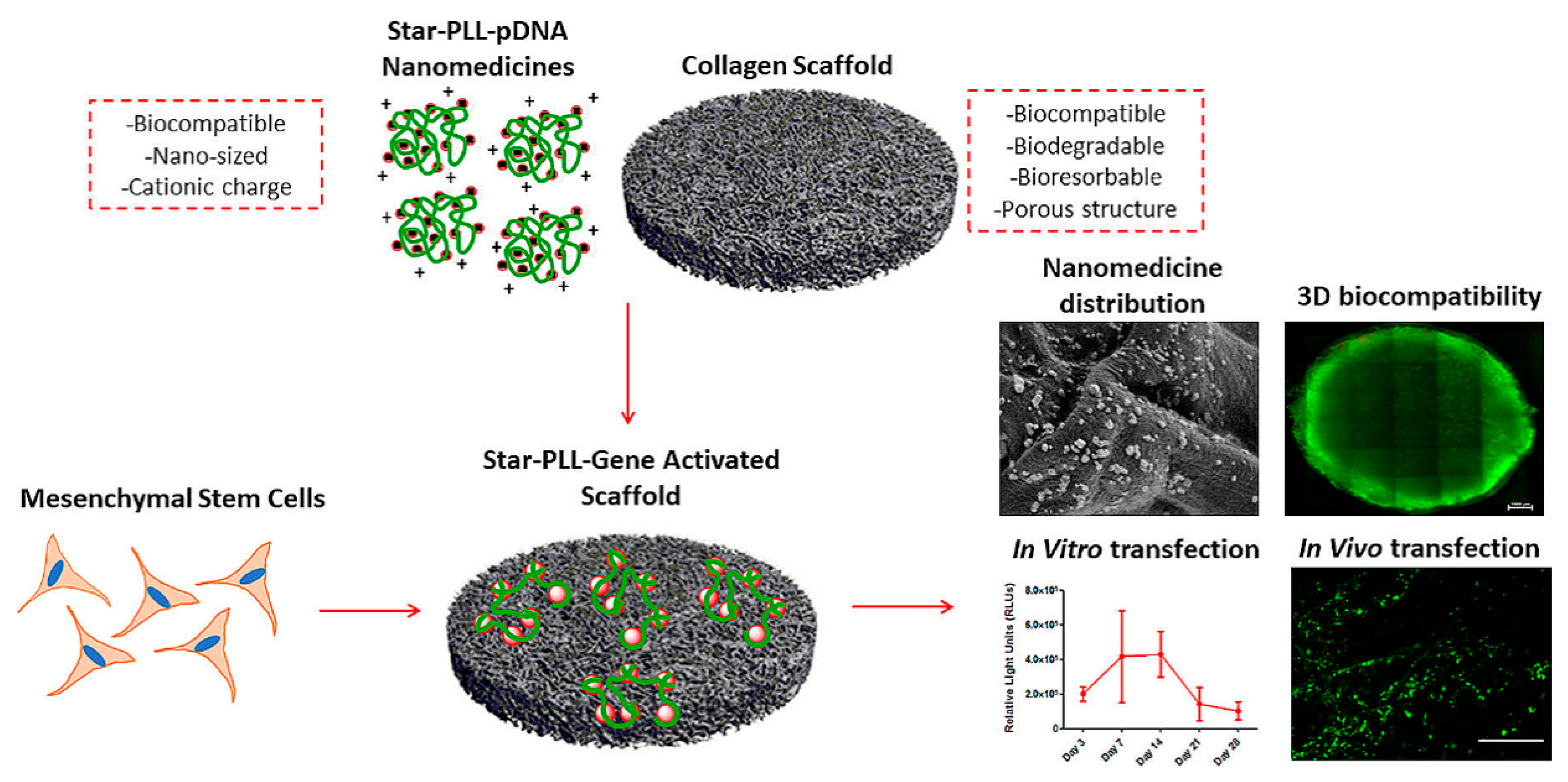 Molecules 25 03482 g009