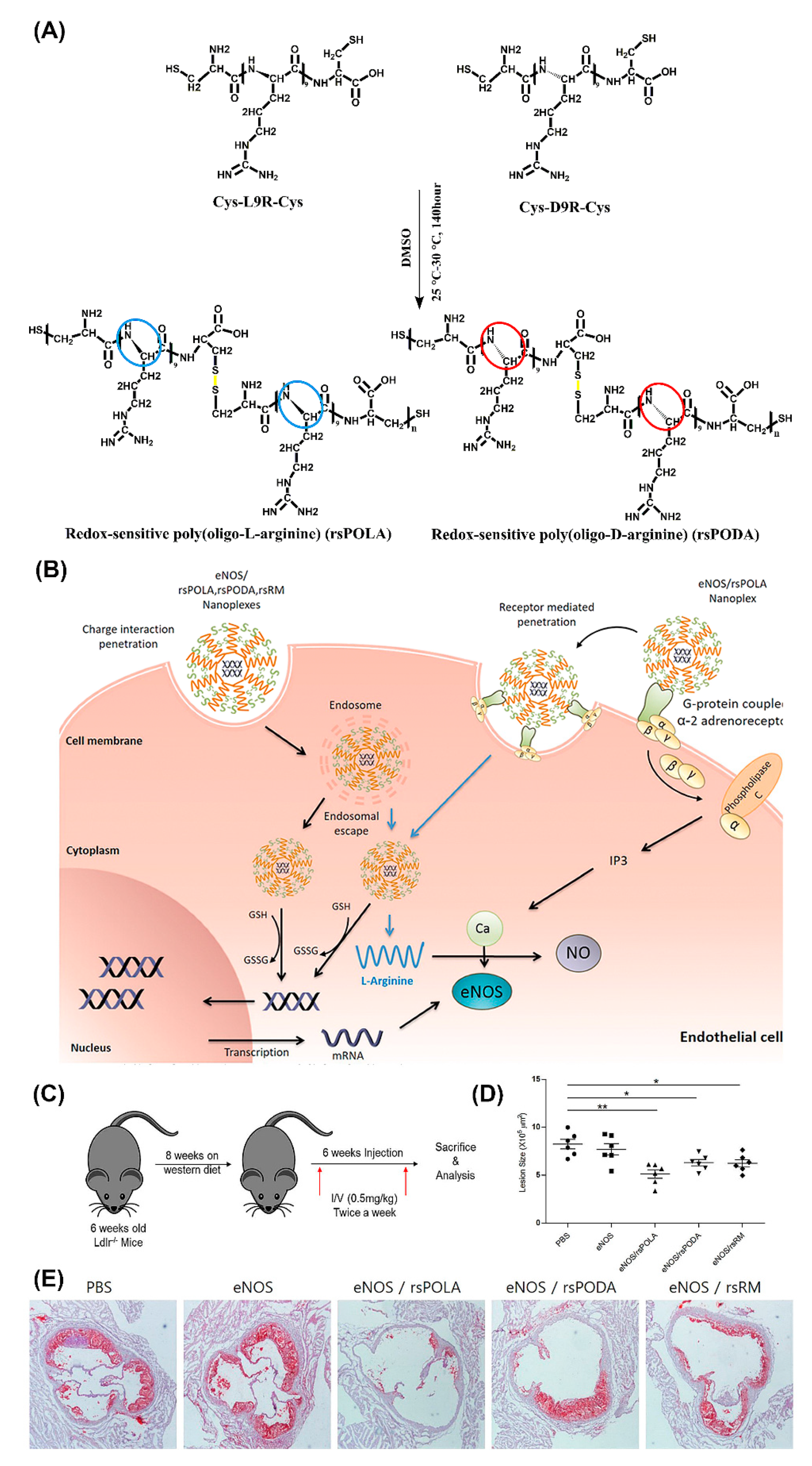 Molecules 25 03482 g010