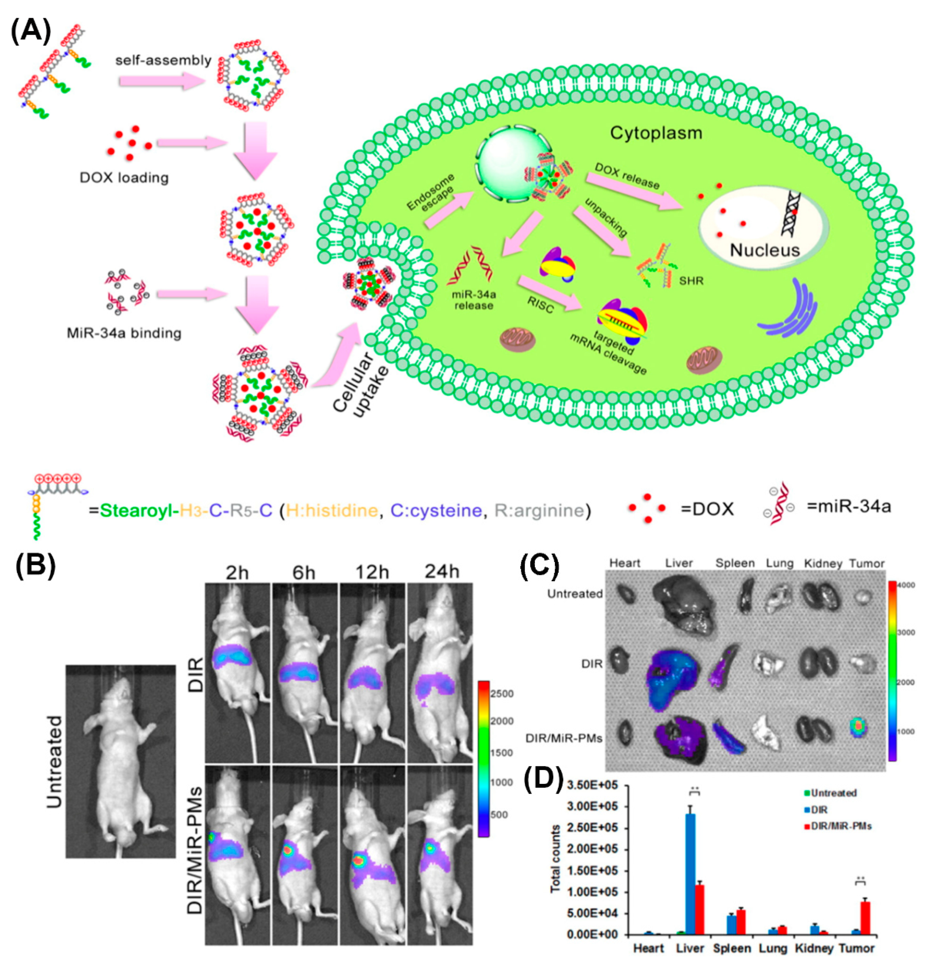 Molecules 25 03482 g014