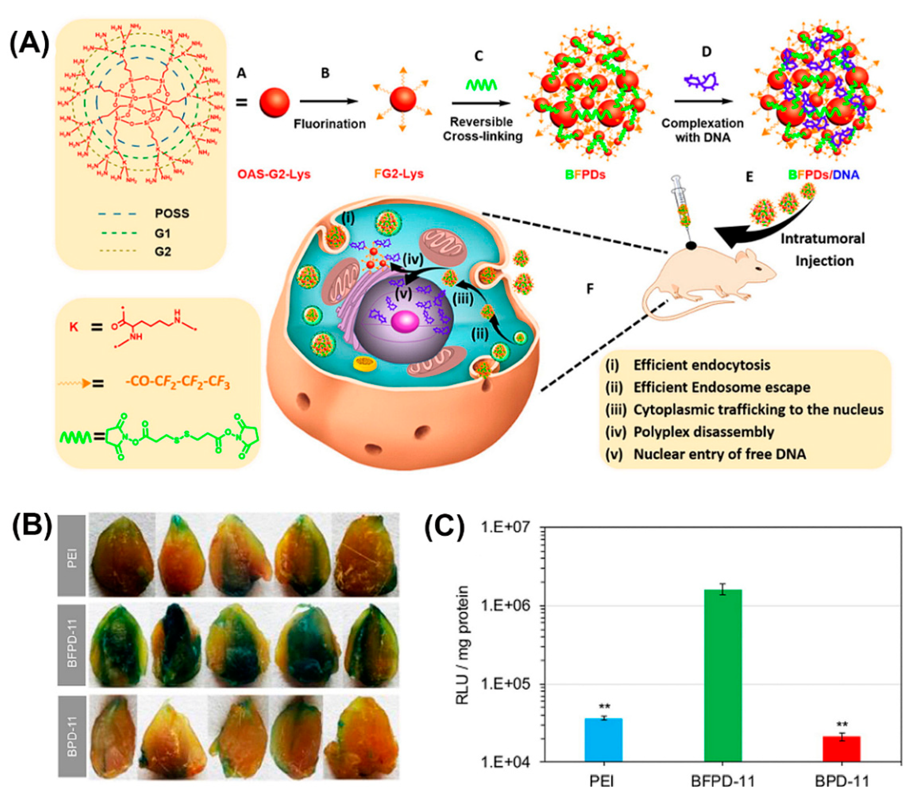 Molecules 25 03482 g016