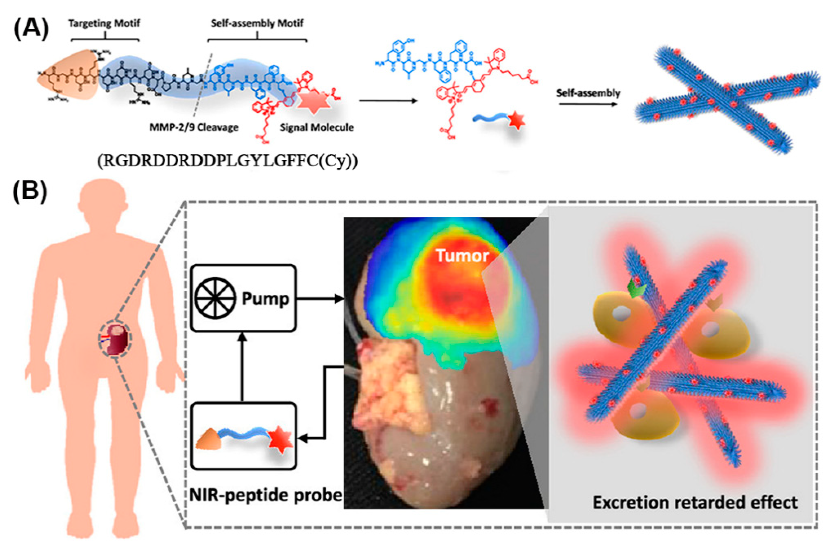 Molecules 25 03482 g018
