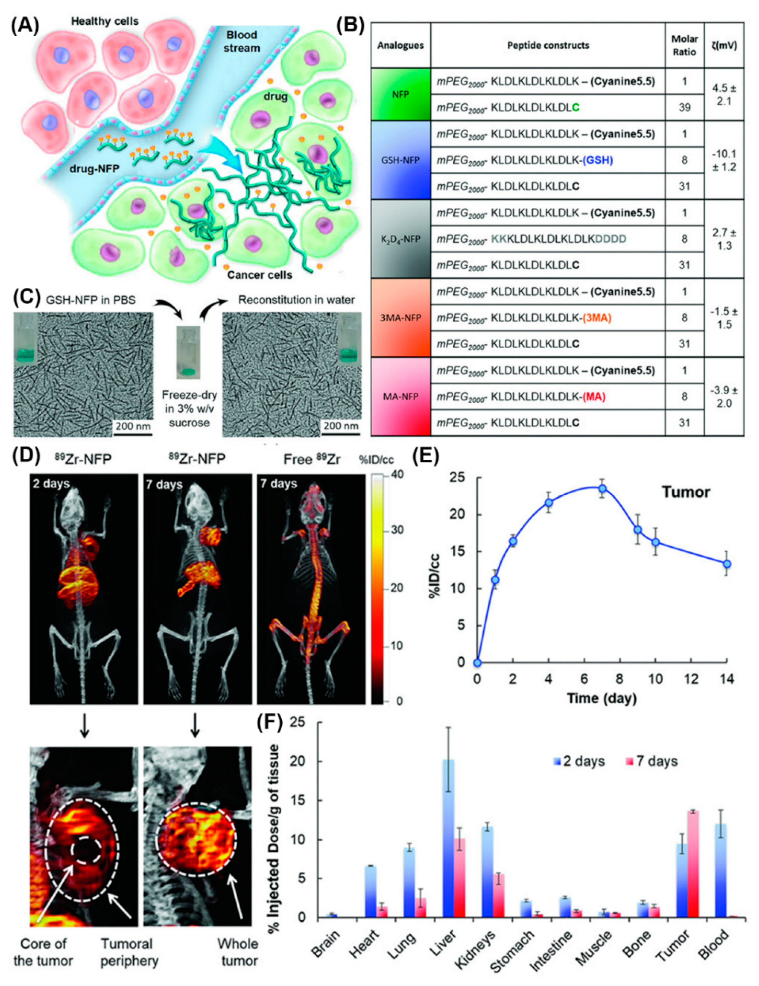 Molecules 25 03482 g019