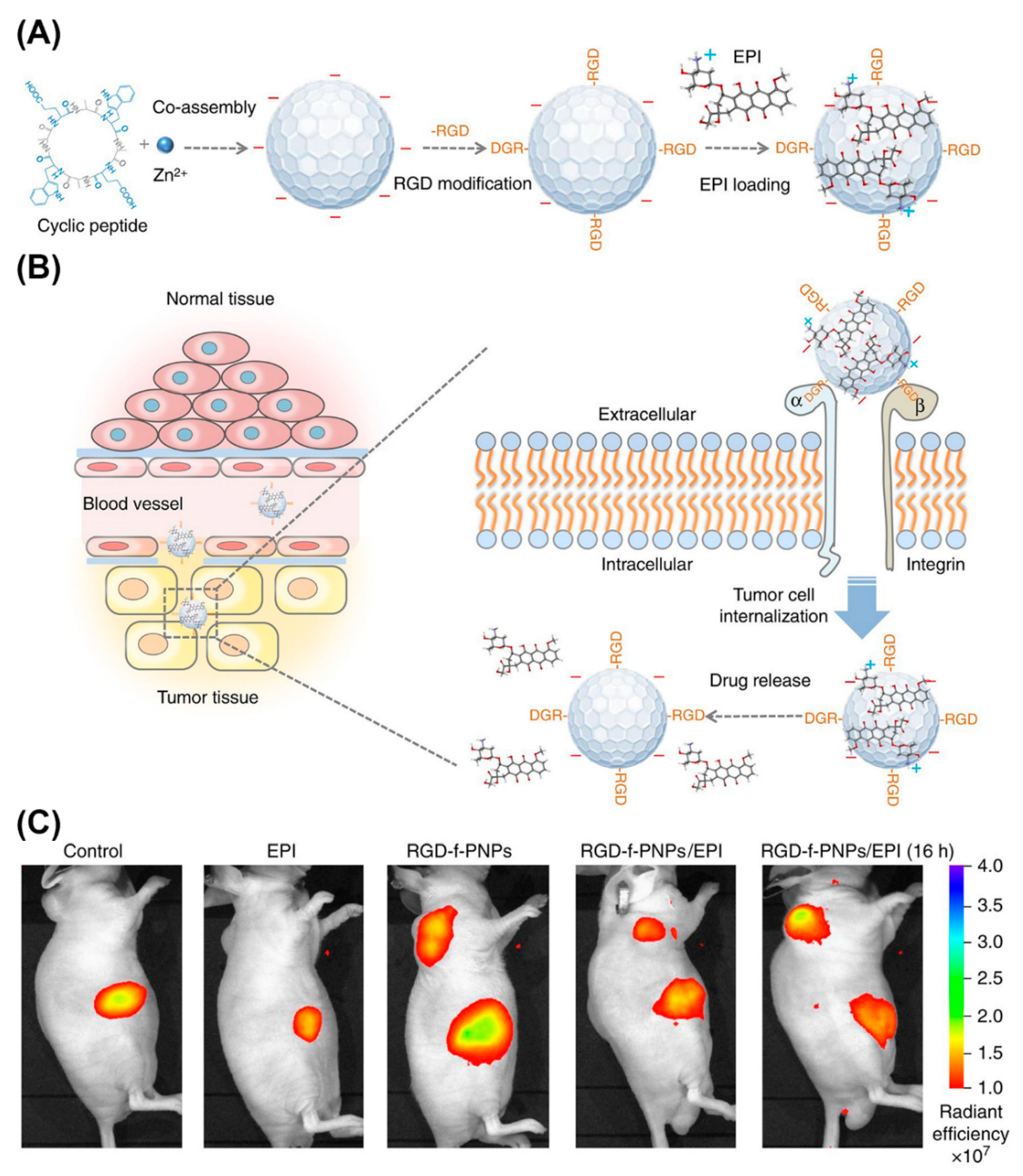Molecules 25 03482 g020