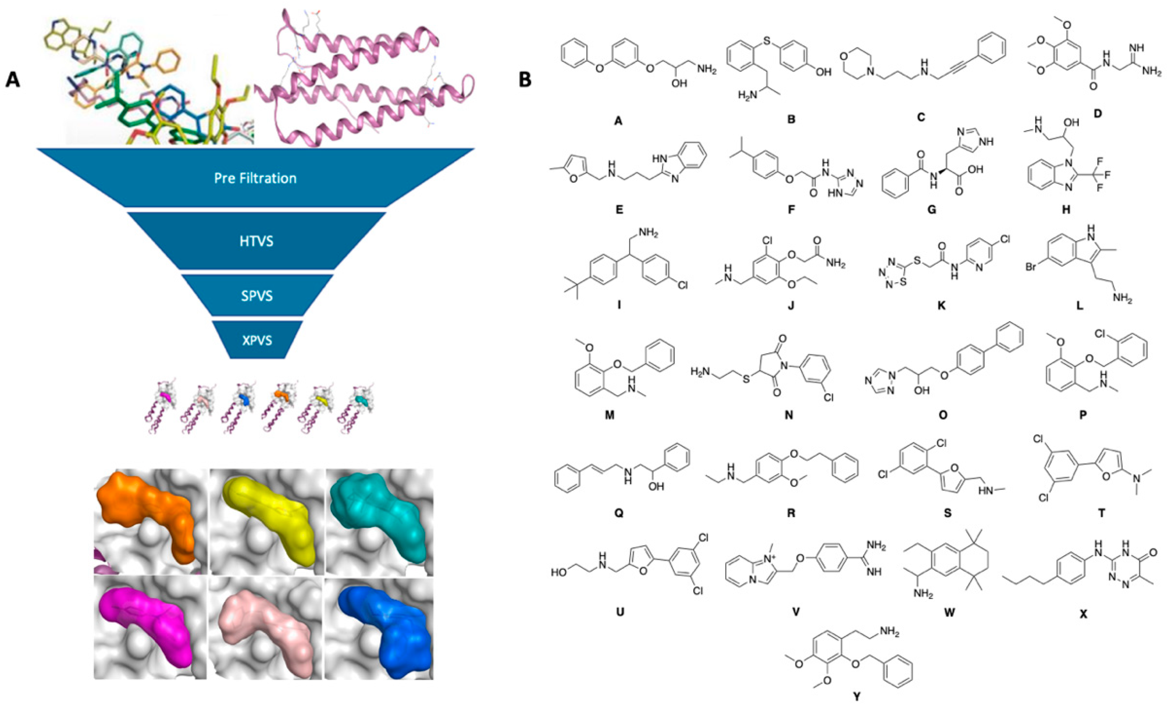 Molecules 25 03488 g002 Molecules 25 03488 g002