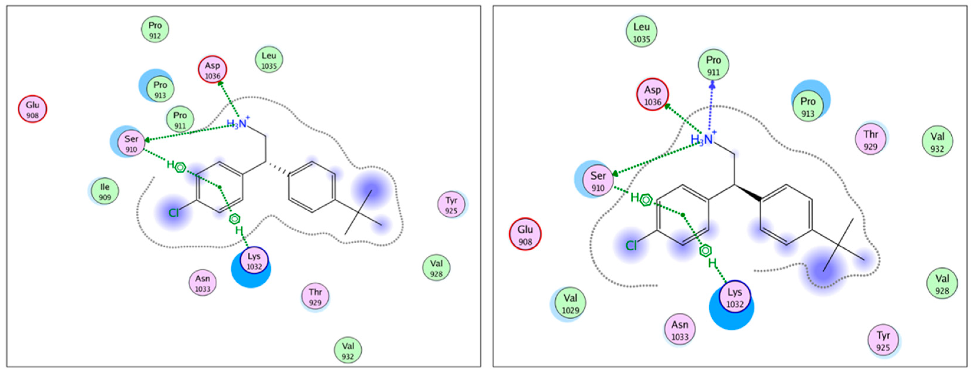 Molecules 25 03488 g004 Molecules 25 03488 g004