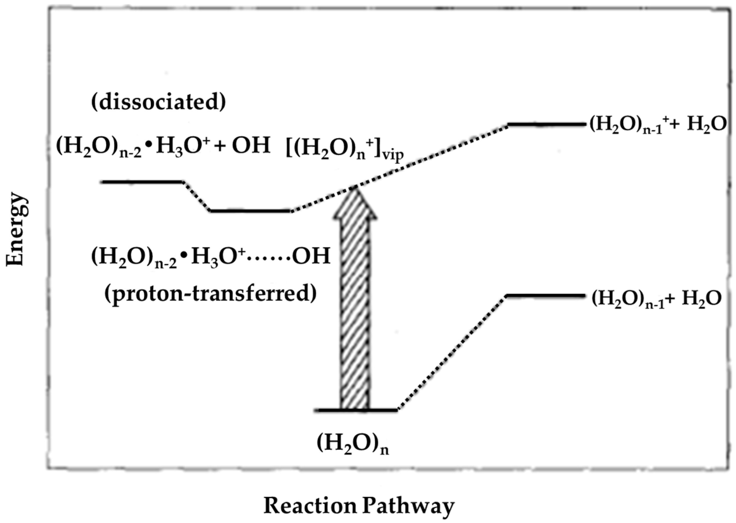 Molecules 25 03490 g009