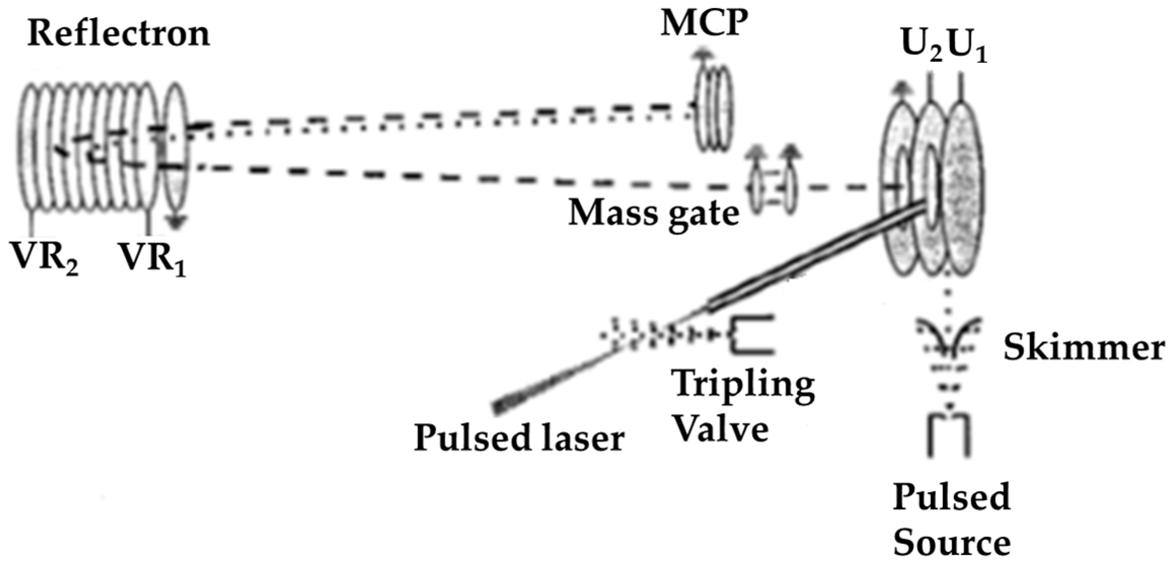 Molecules 25 03490 g011