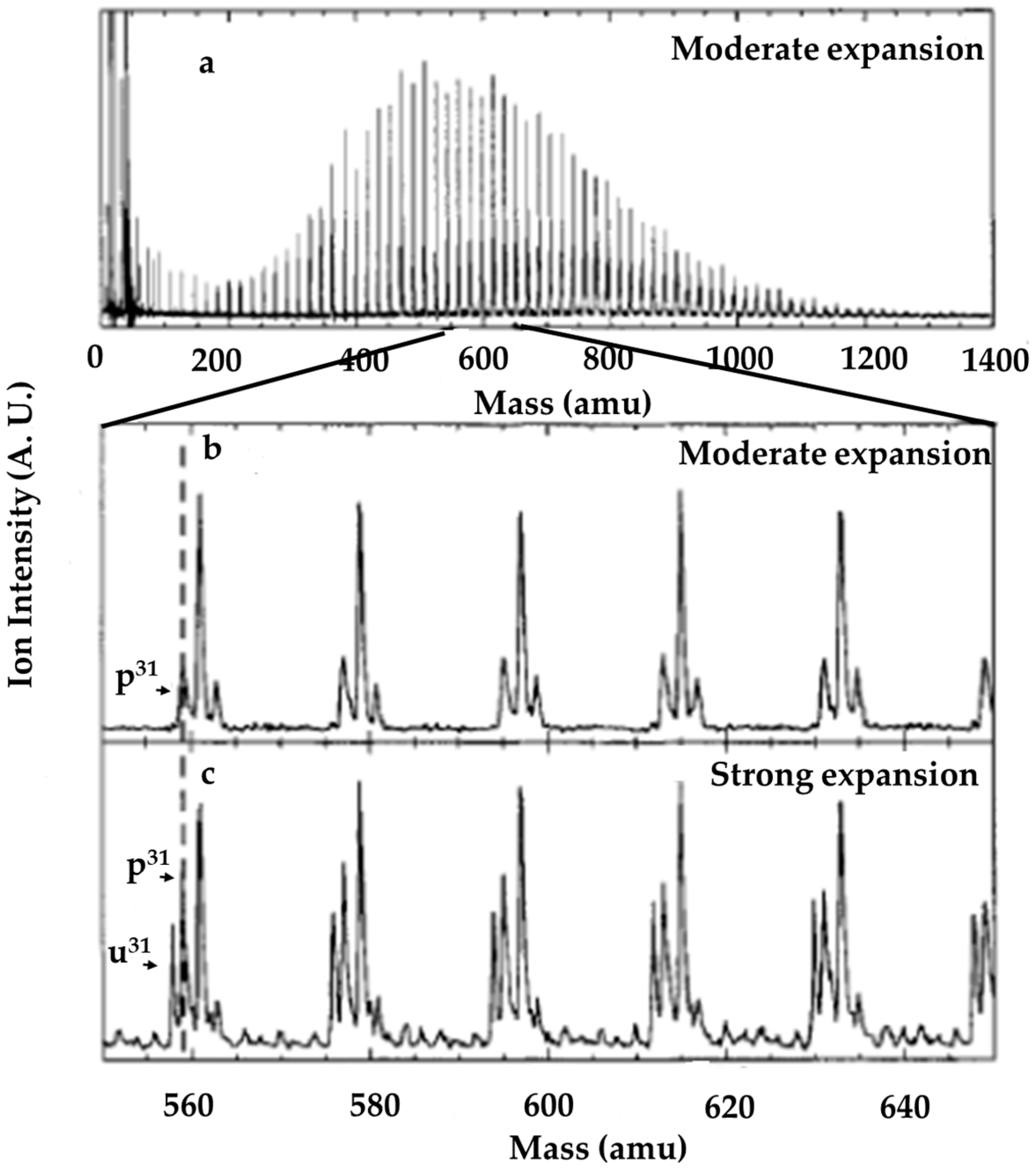 Molecules 25 03490 g012