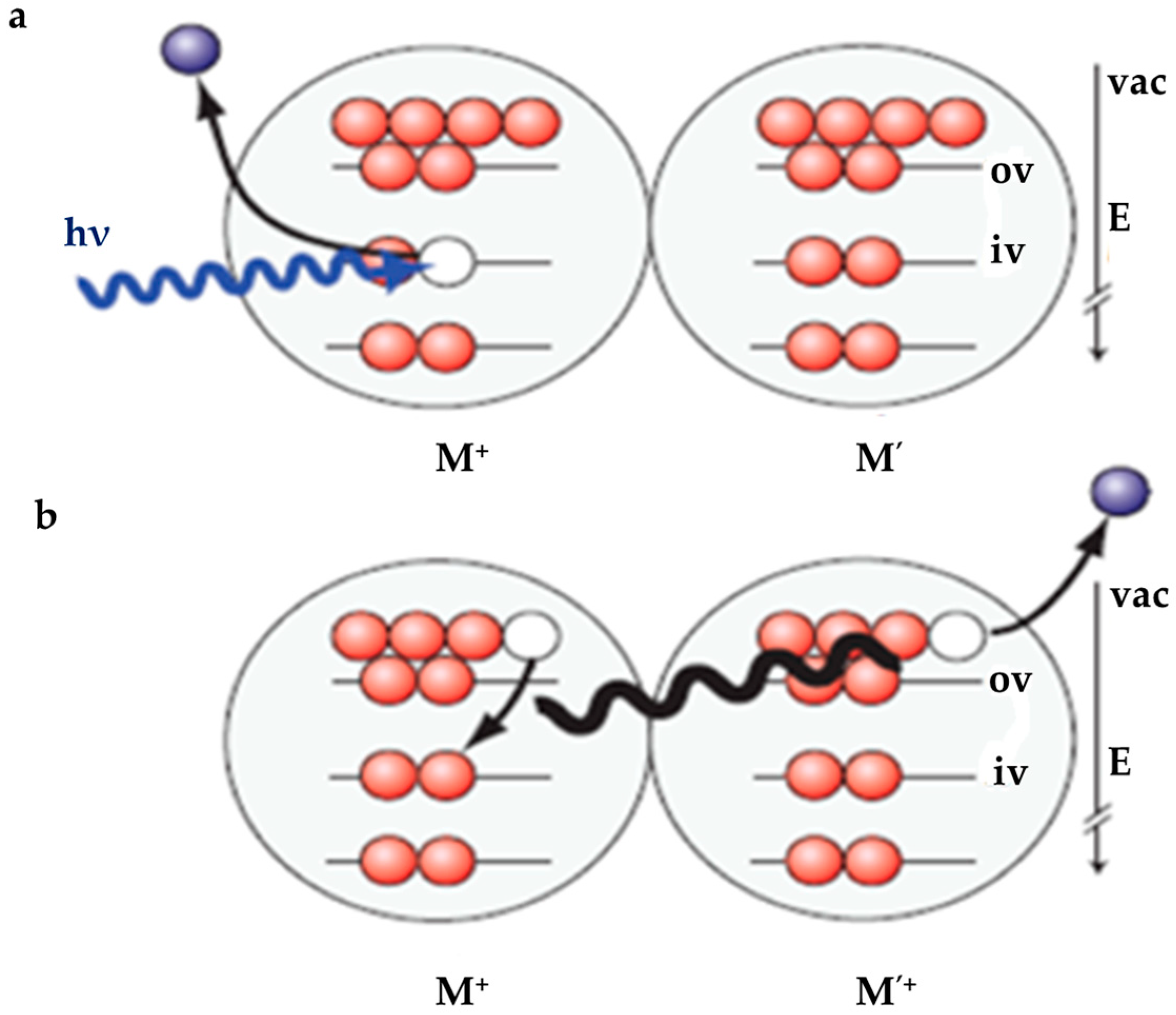 Molecules 25 03490 g019
