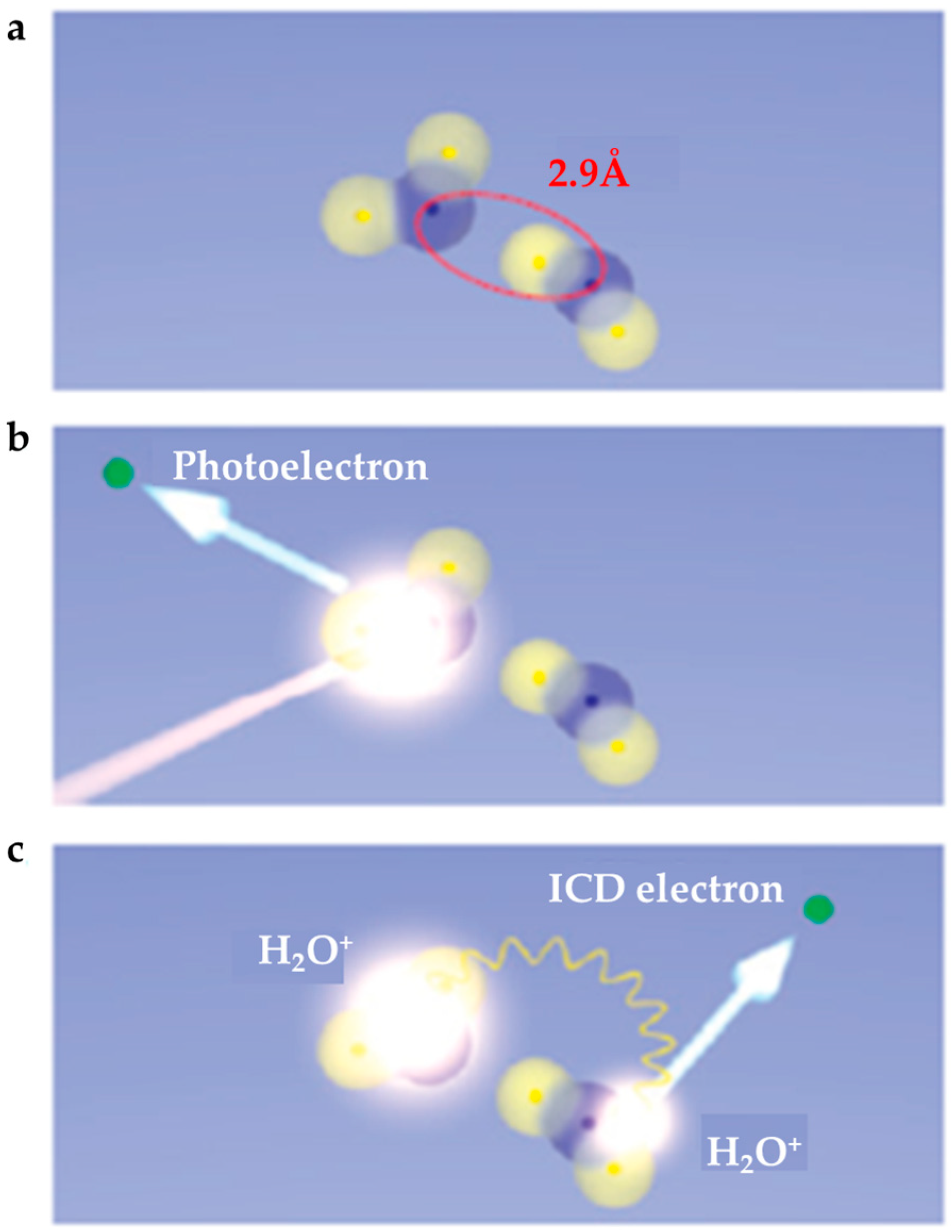 Molecules 25 03490 g020