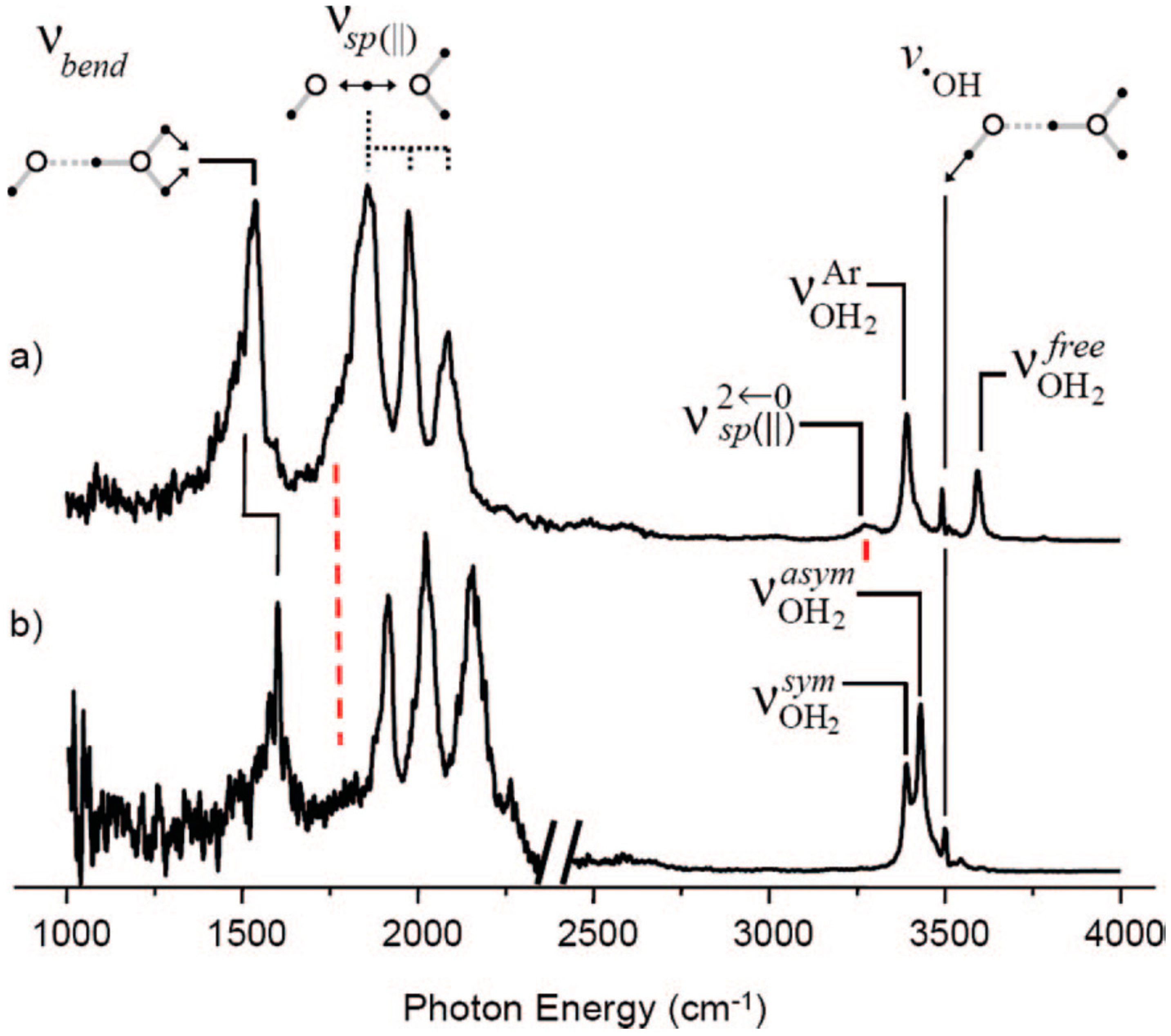 Molecules 25 03490 g024