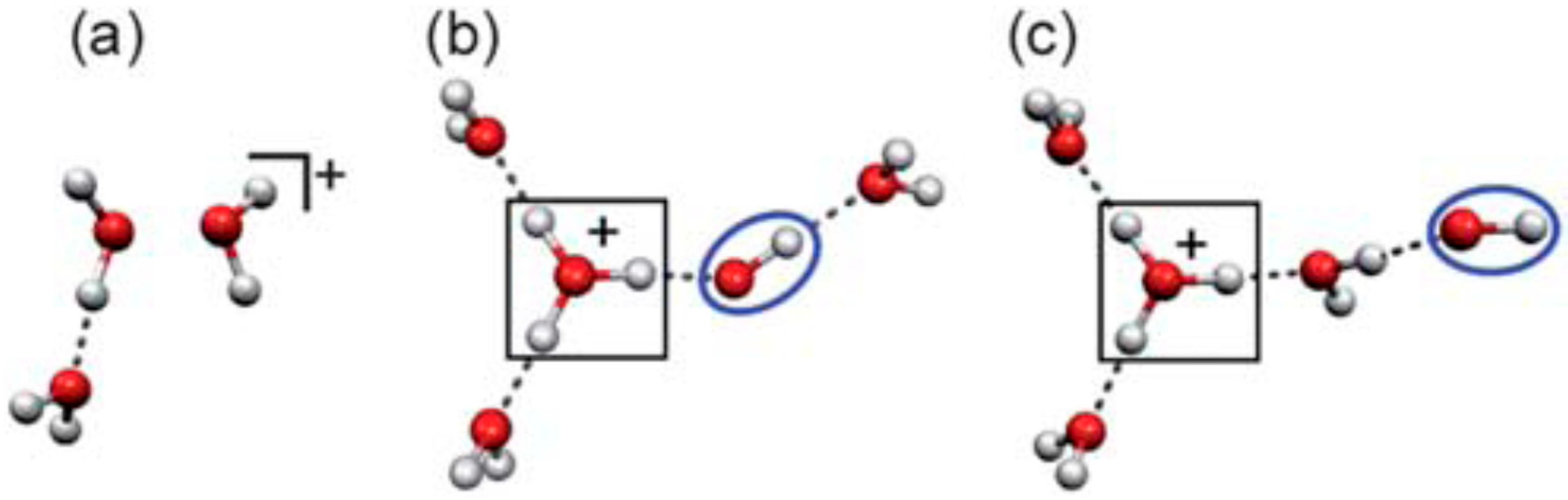 Molecules 25 03490 g027