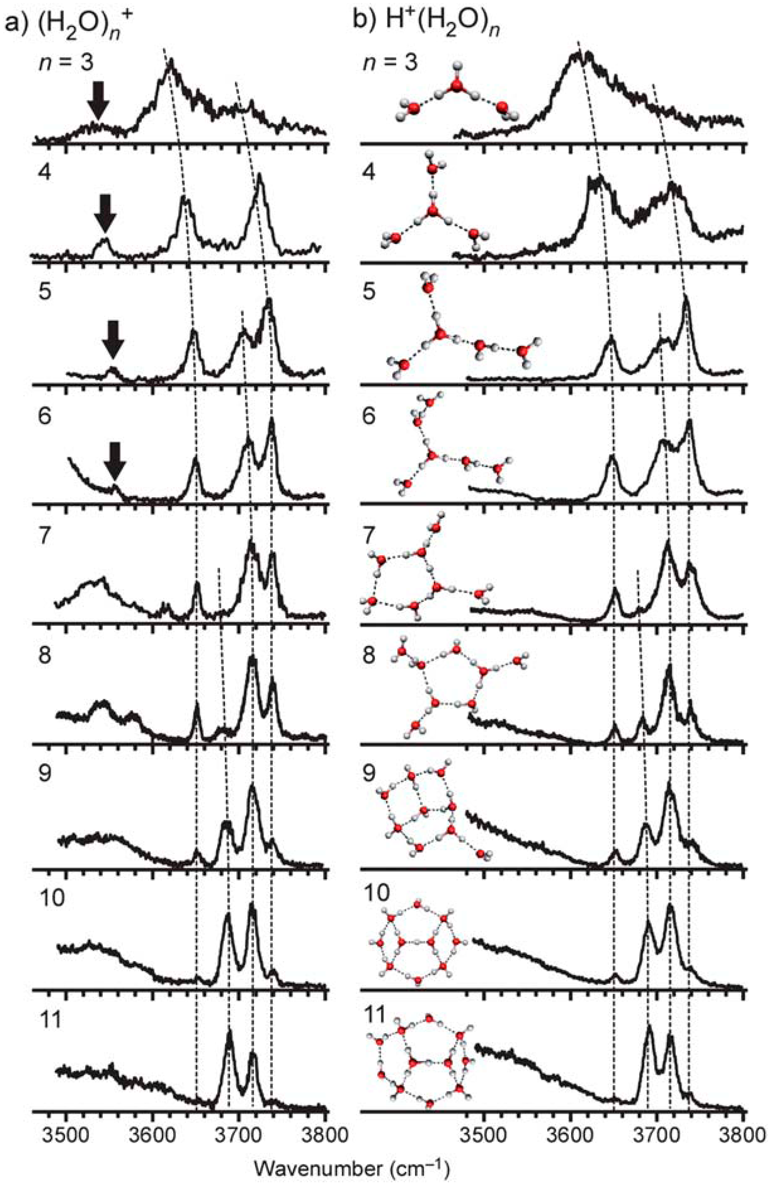 Molecules 25 03490 g028