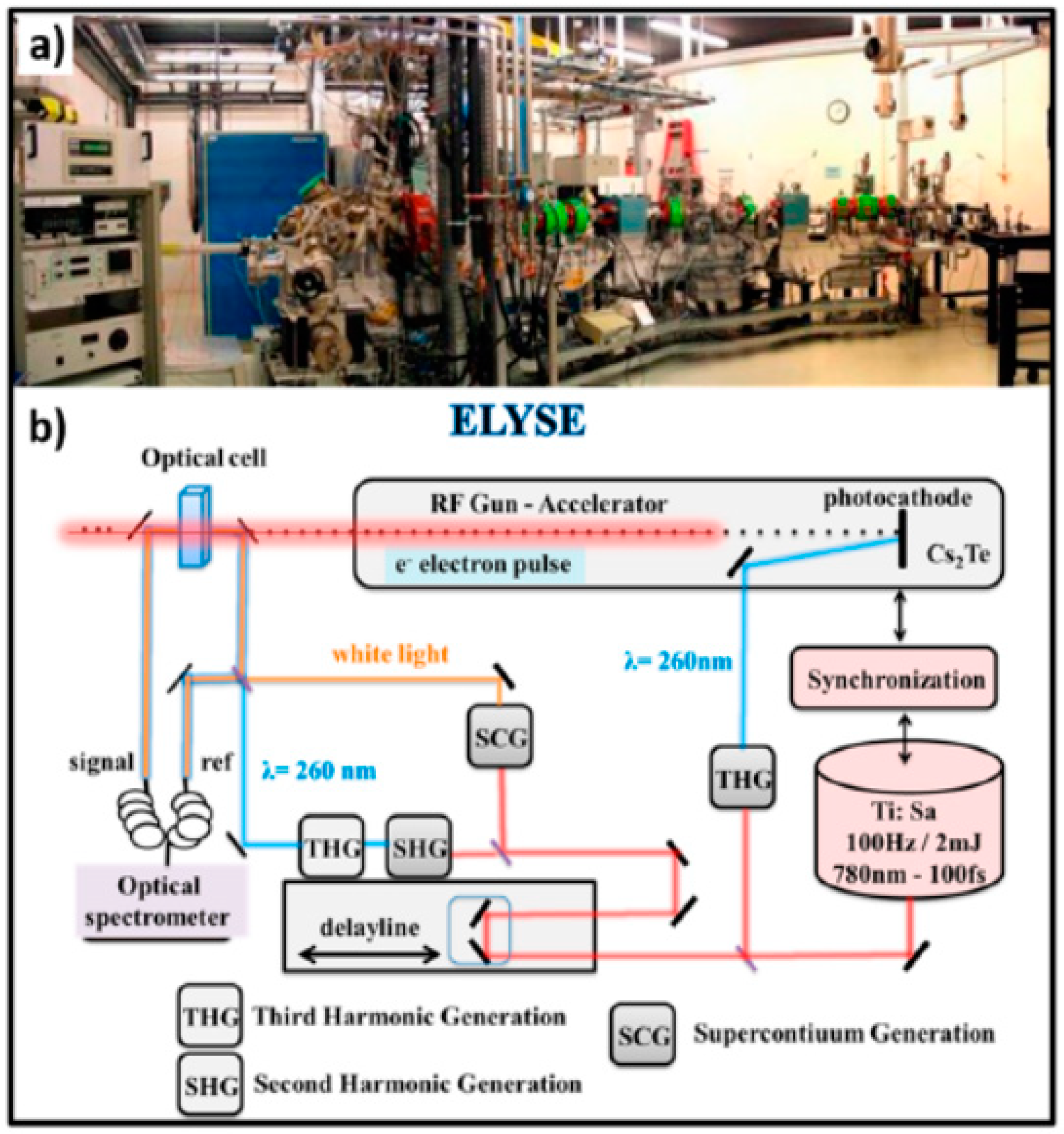Molecules 25 03490 g032