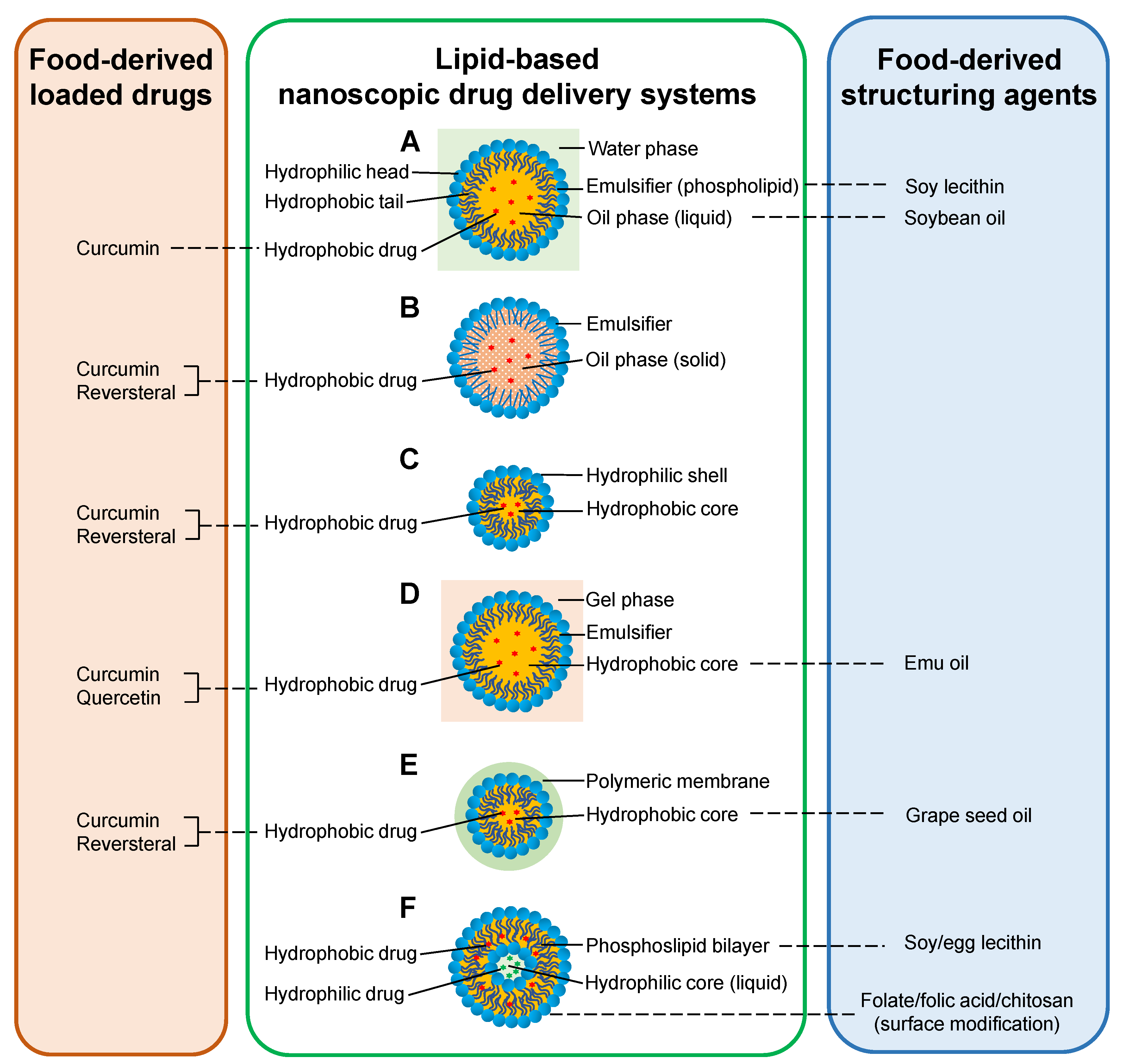 Molecules 25 03506 g002