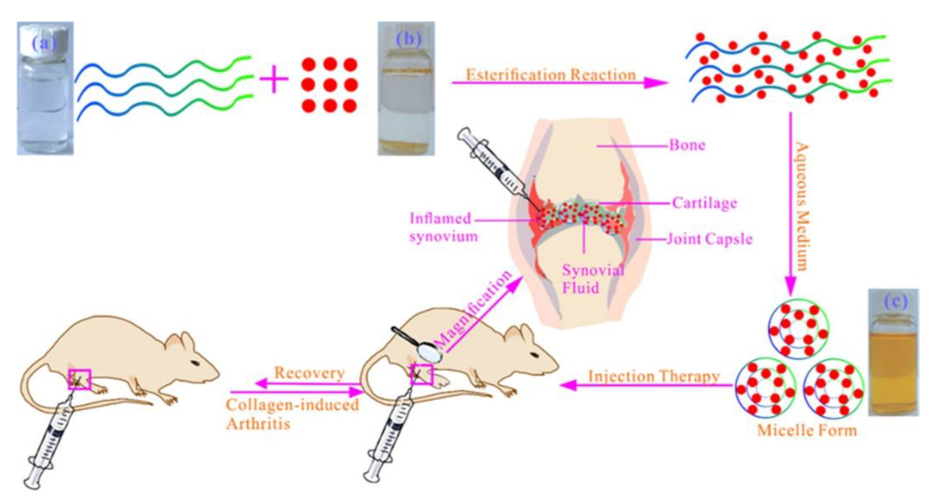 Molecules 25 03506 g003