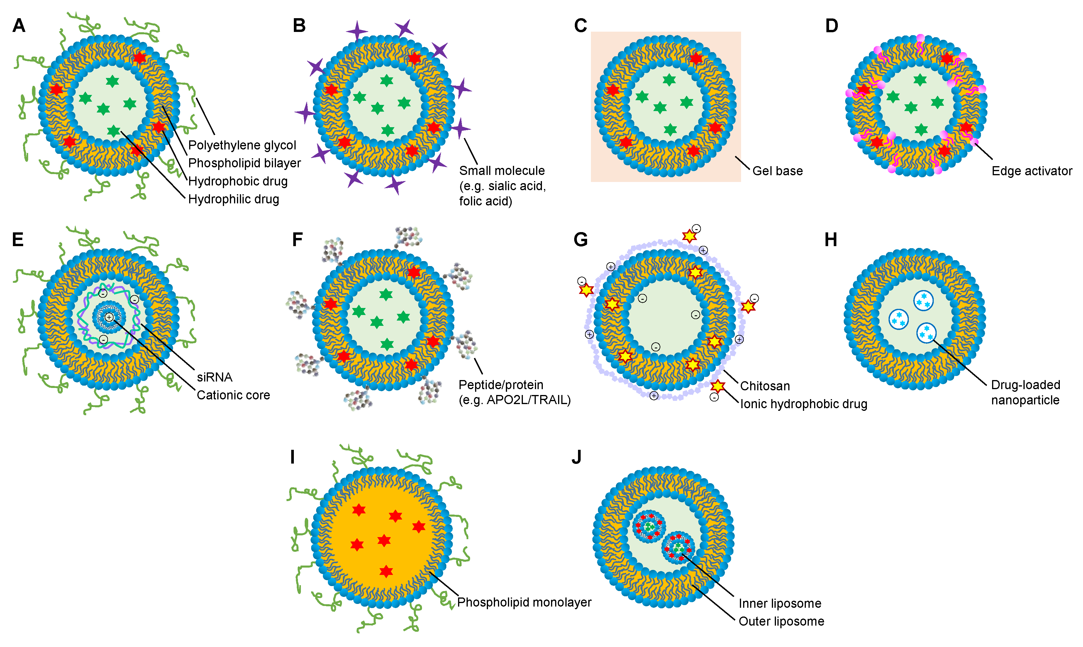 Molecules 25 03506 g004