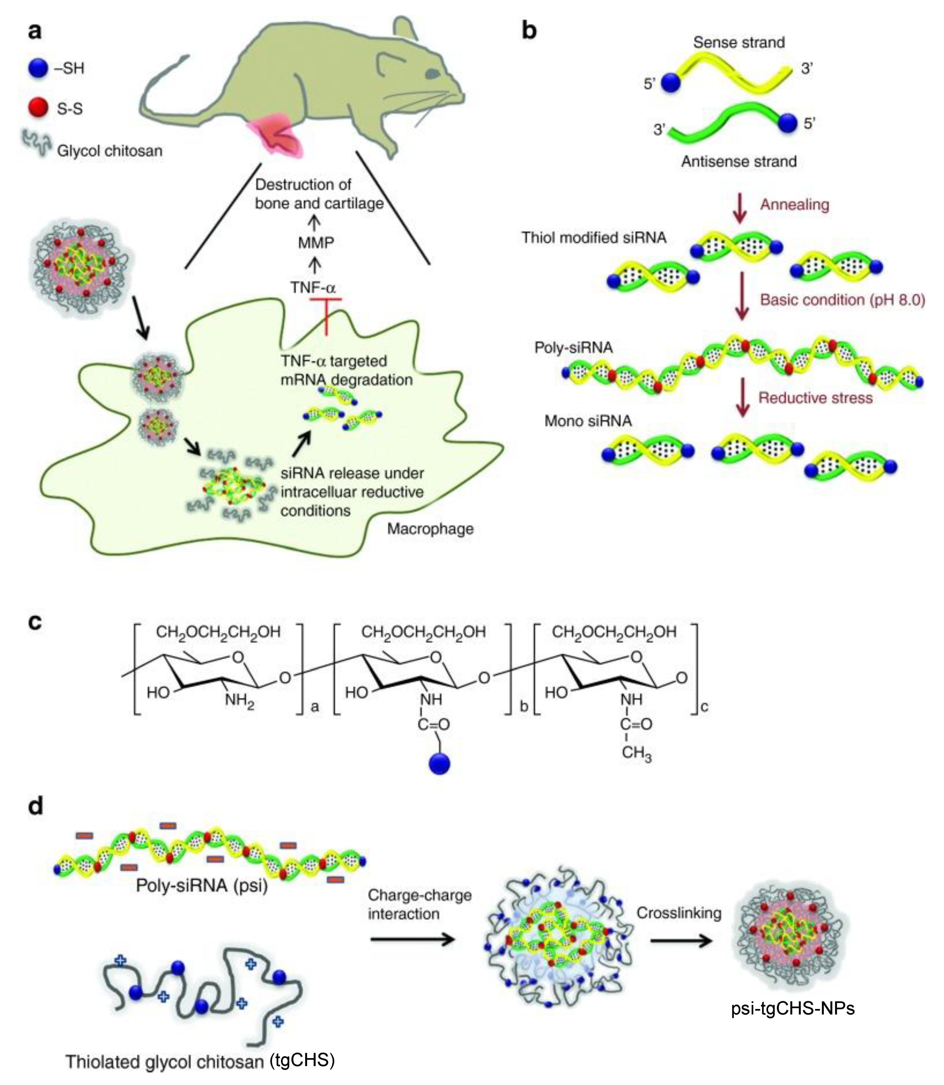 Molecules 25 03506 g005