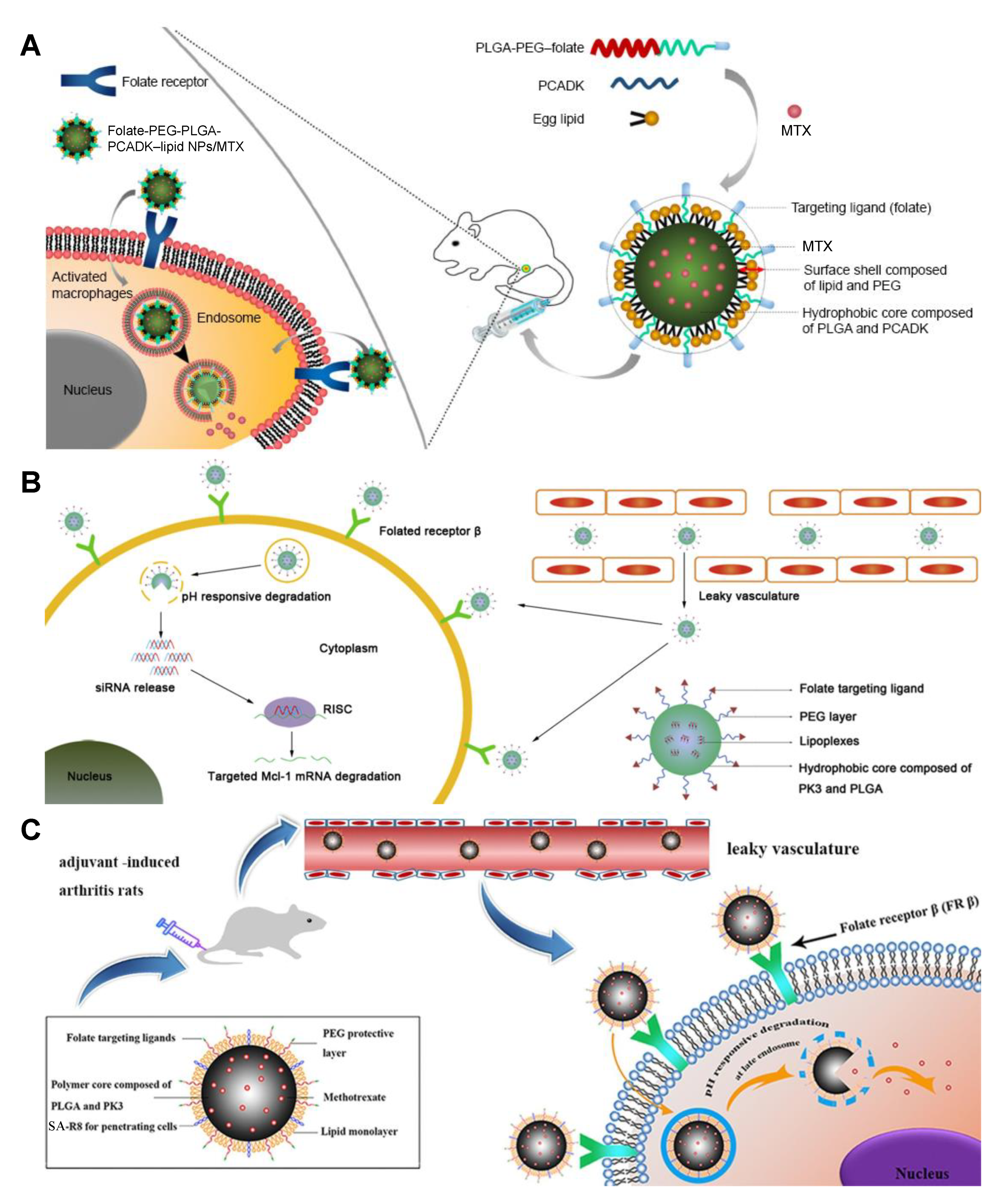 Molecules 25 03506 g006